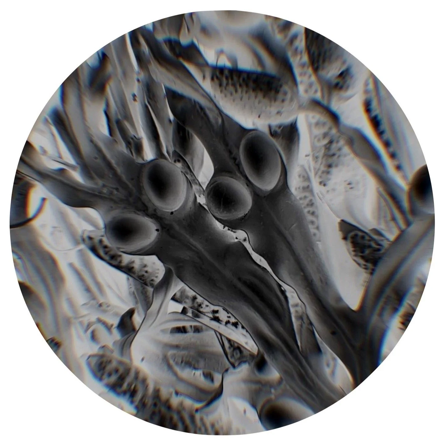 Biodesiderata [Extract]
From Boyle&rsquo;s list to BIOfutures: articulating hope, agency and responsibility in an age of bio-innovation

"In the 1660s, at a moment when the contours of modern science were fast taking shape, a natural philosopher