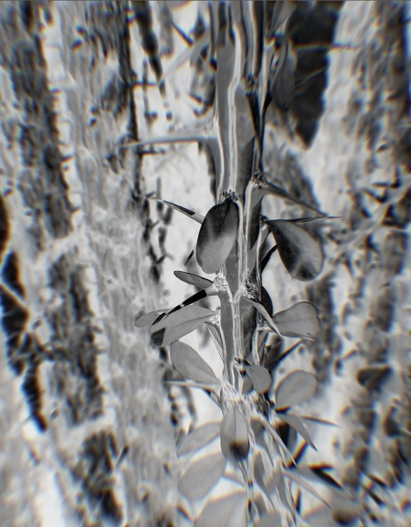 Artistic photo of plant stems and leaves with negative effect
