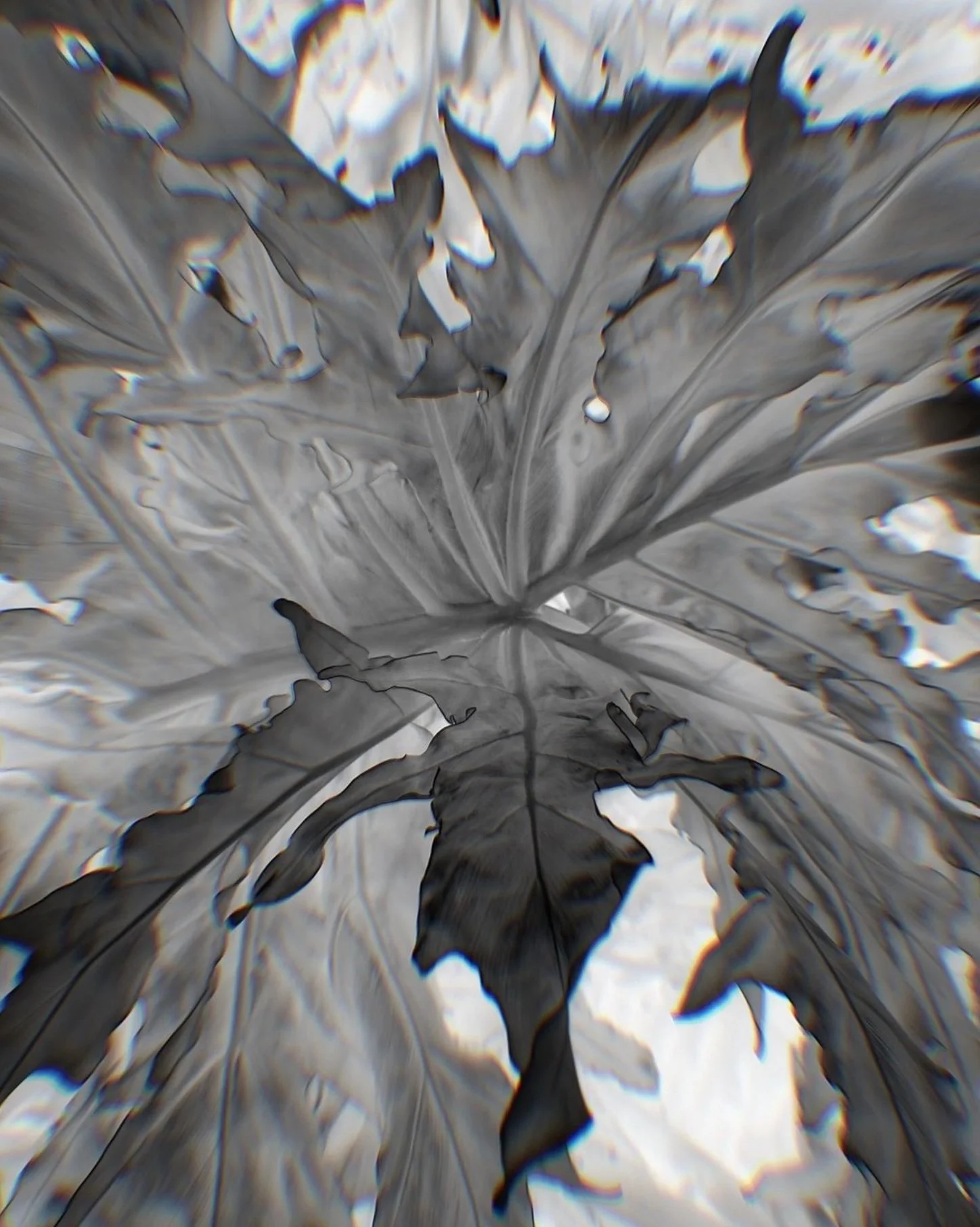 Abstract black and white image of overlapping leaves with varied textures and edges, creating a surreal effect.