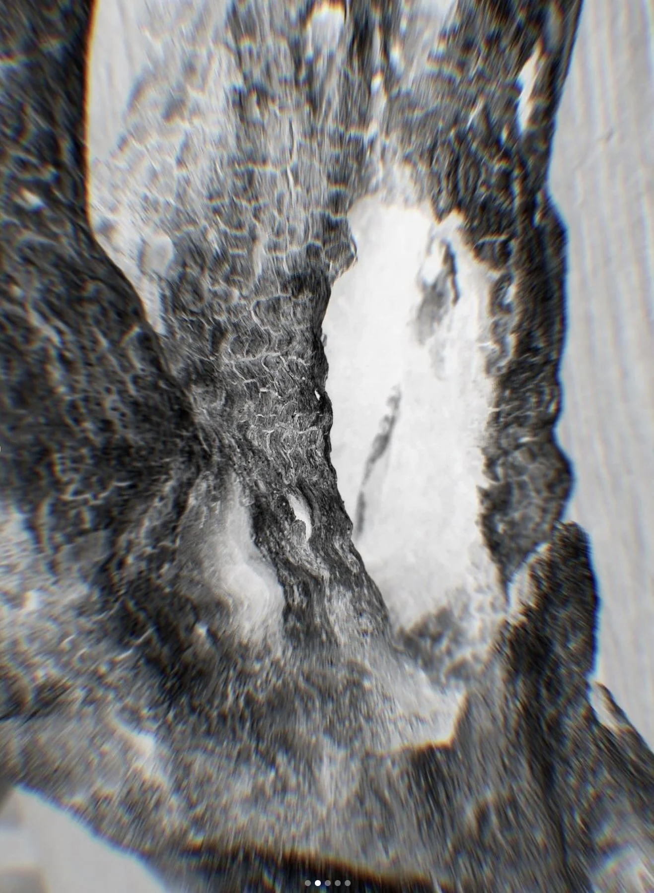 © Copyright Bioratorium® Limited - All Rights Reserved.