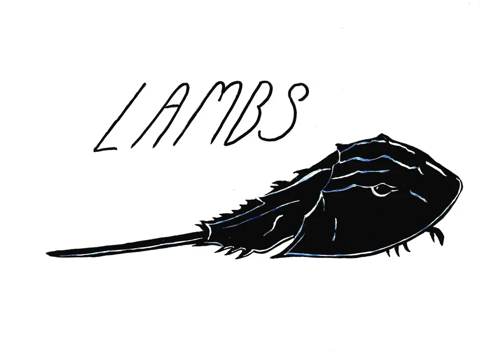 Lambs Mini Market Pop-Up