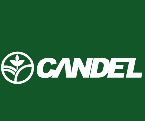 The Candel Company Limited