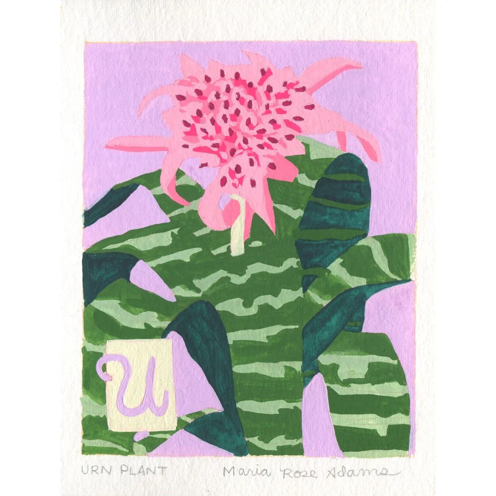 U is for Urn Plant