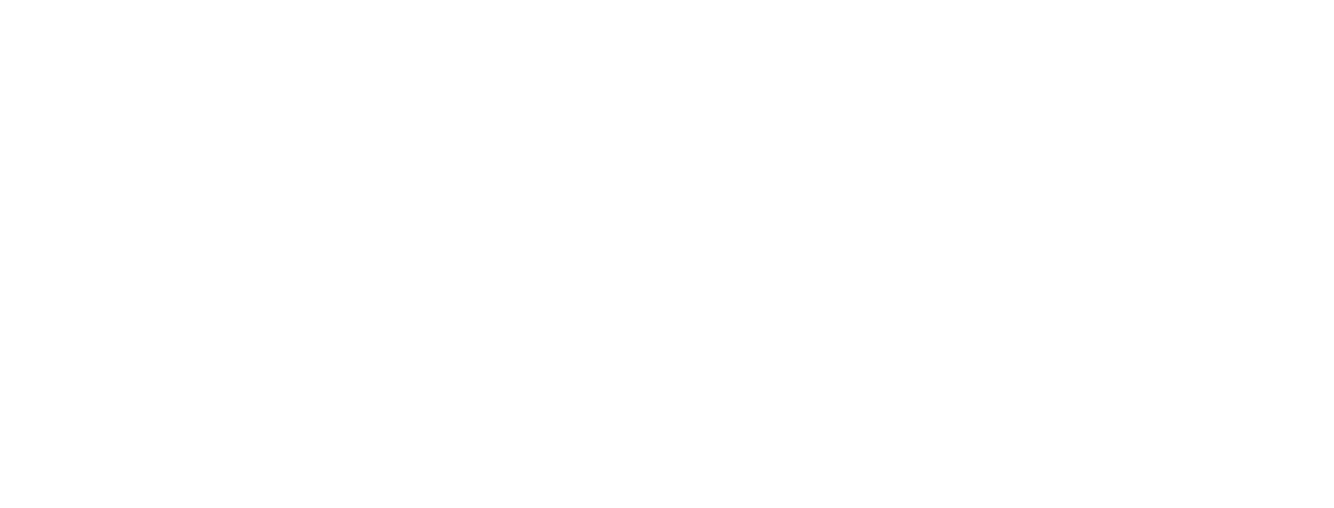 Elevate Inspections