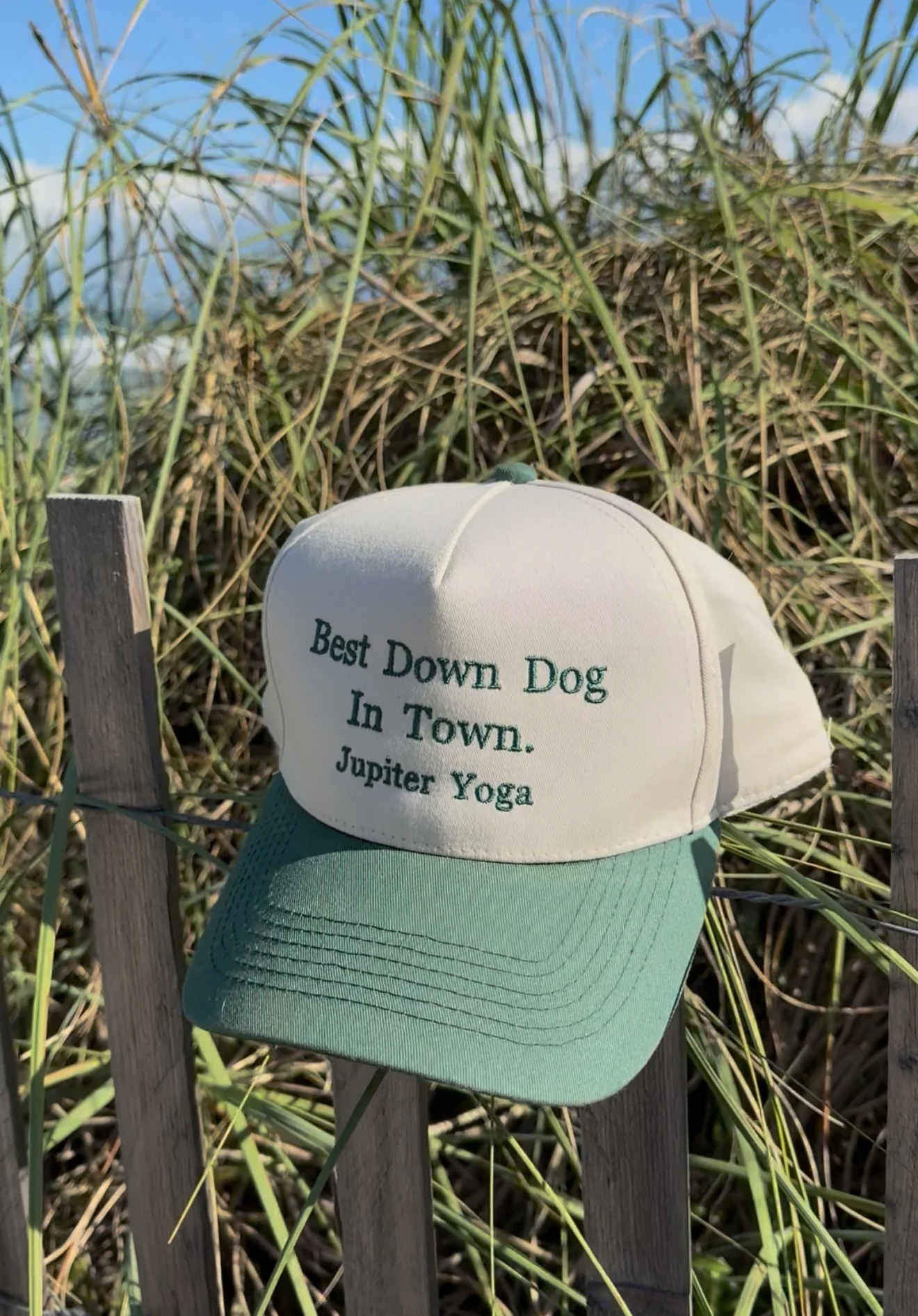 "Best Down Dog In Town" Jupiter Yoga Embroidered Hat in Forrest Green