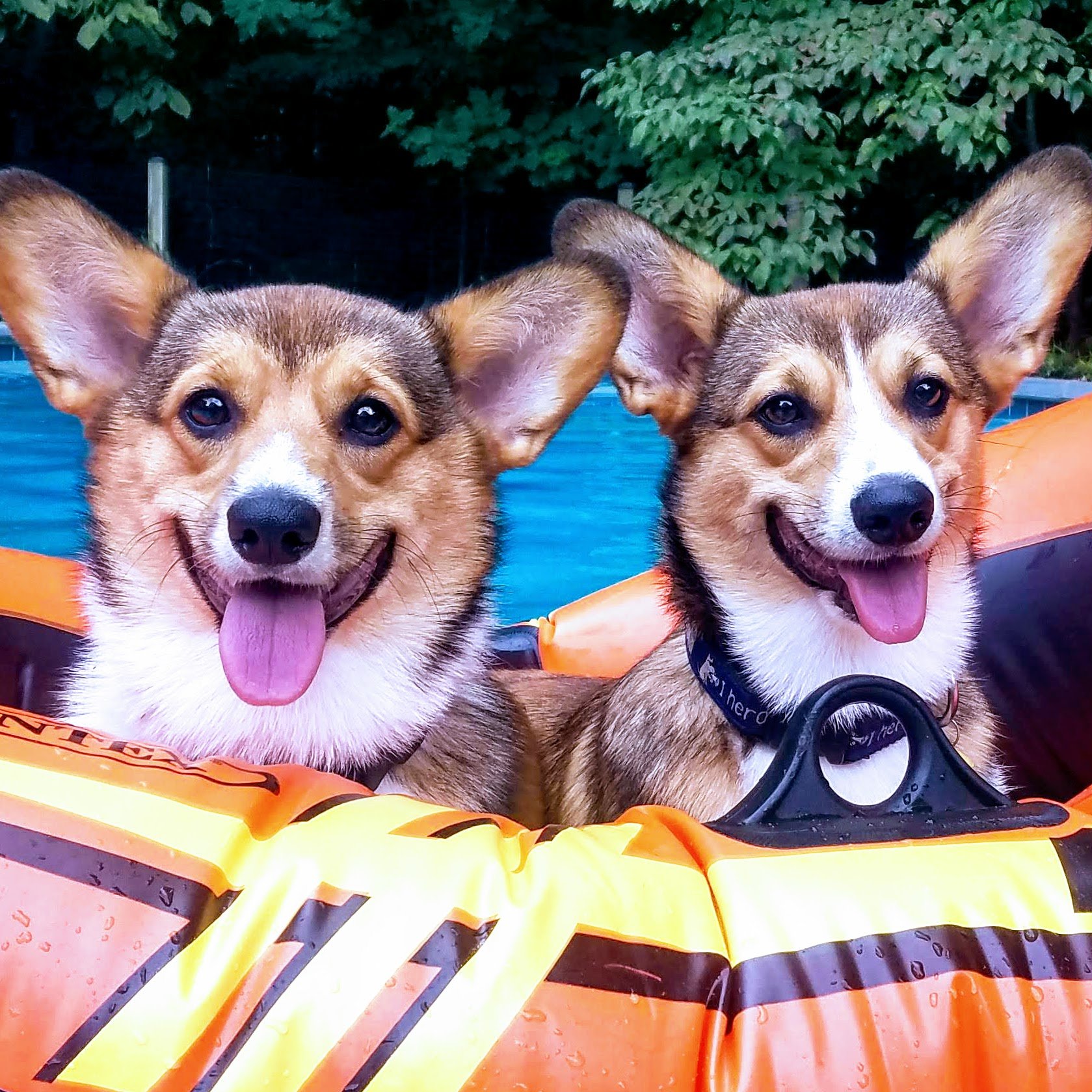 We Love Boating!
