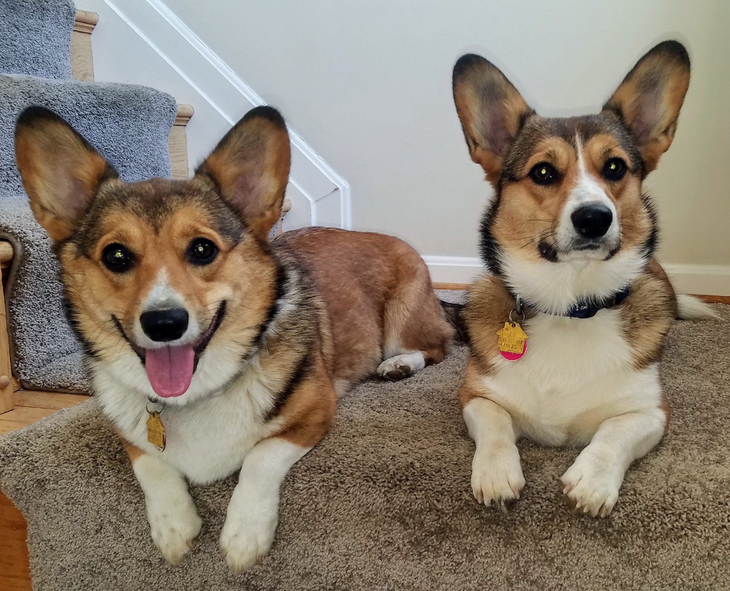 Time For a Walk?
