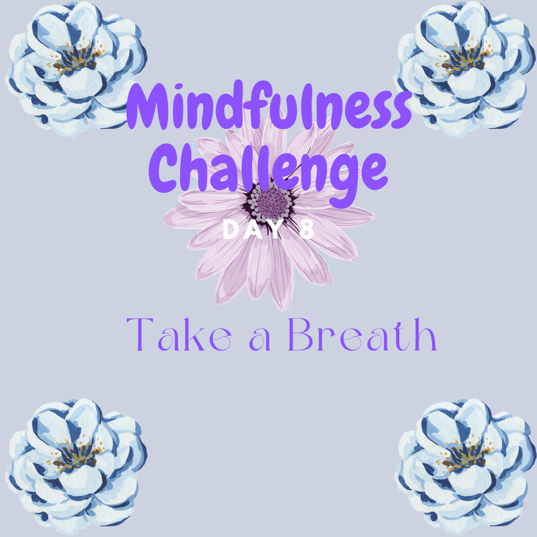 Mindfulness Challenge Day 8: Take a Breath