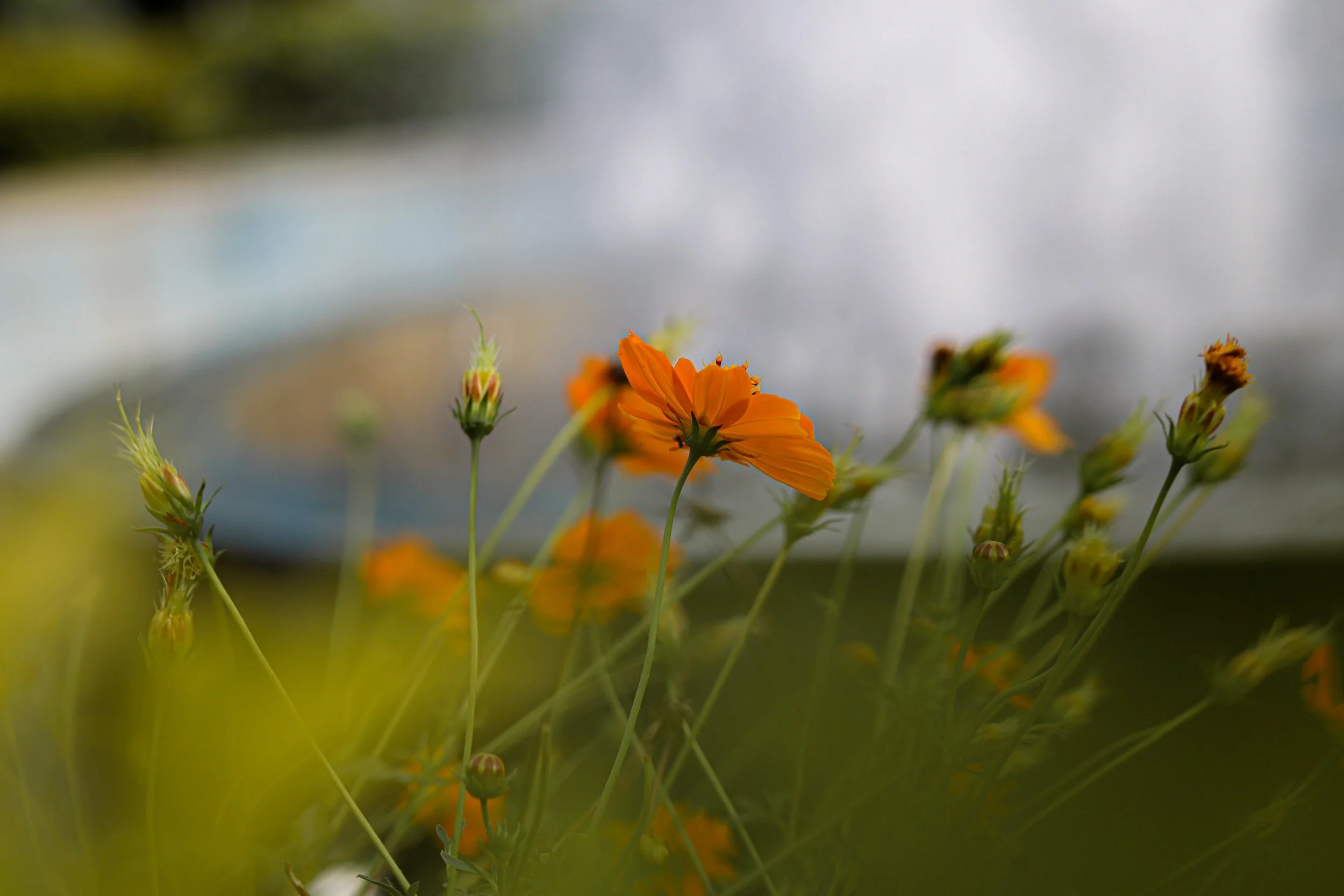 unsplash-image-VS0v-nwT1Tw.jpg