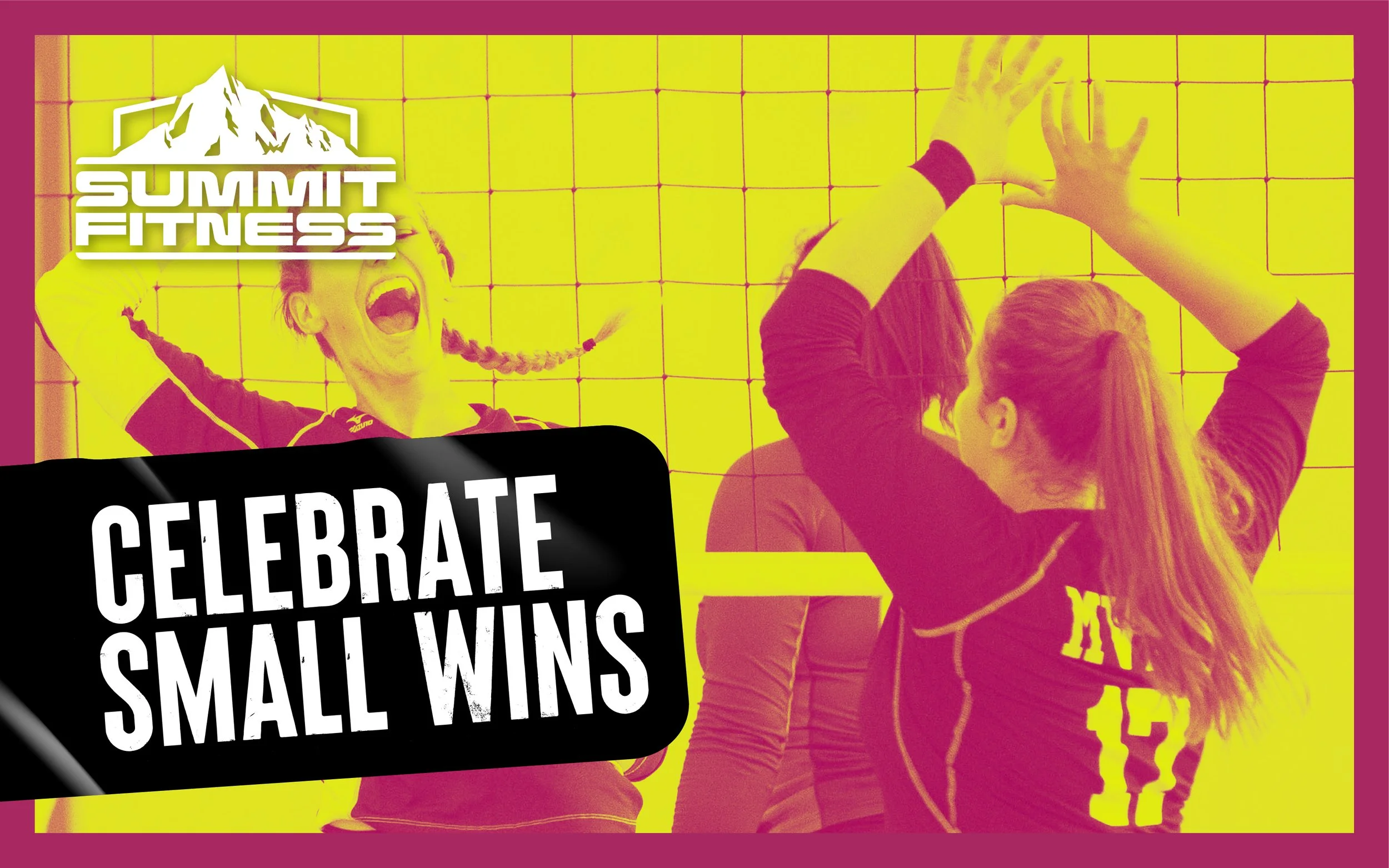 The Power of Small Wins