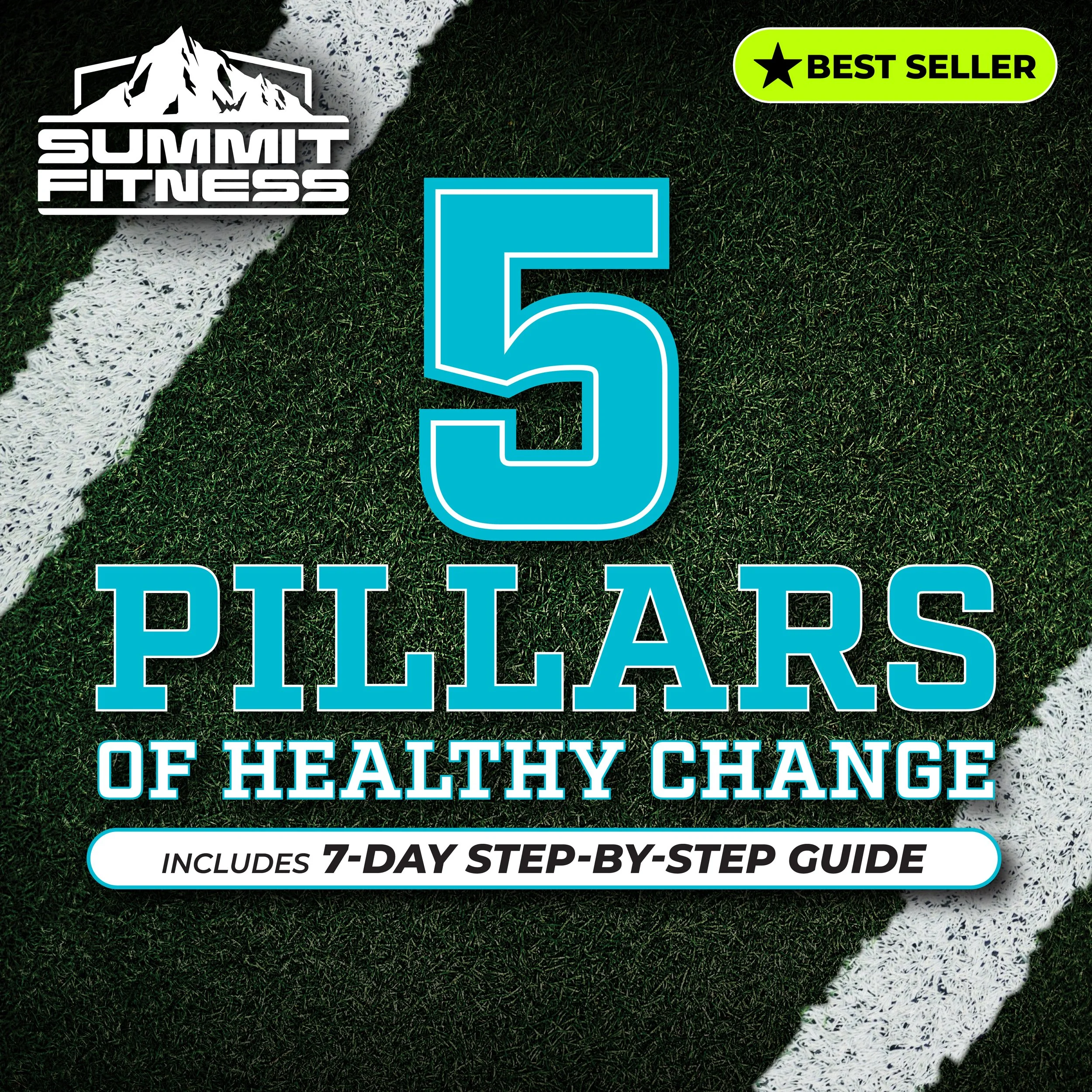5 Pillars of Healthy Change