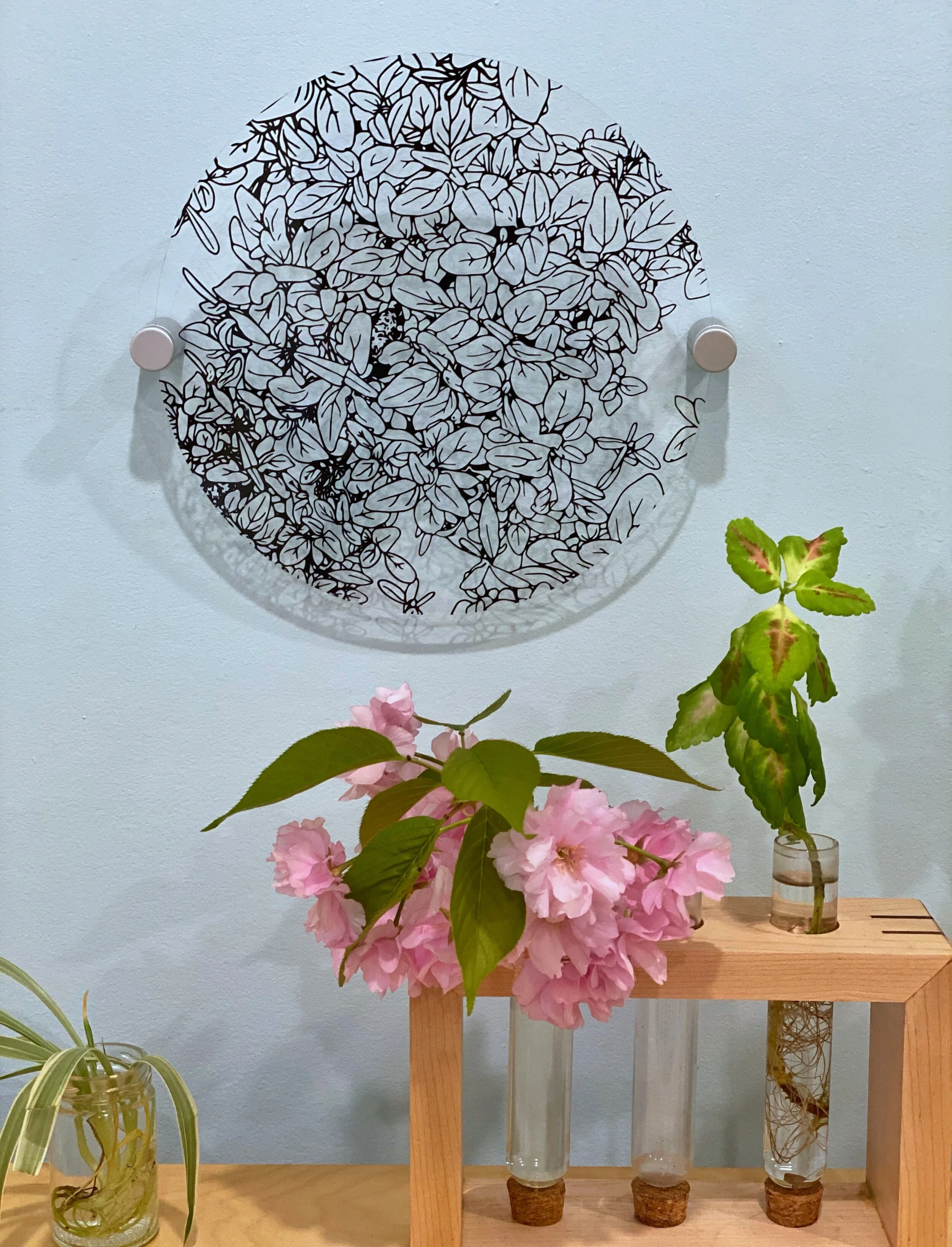 image_6483441 (2).JPG