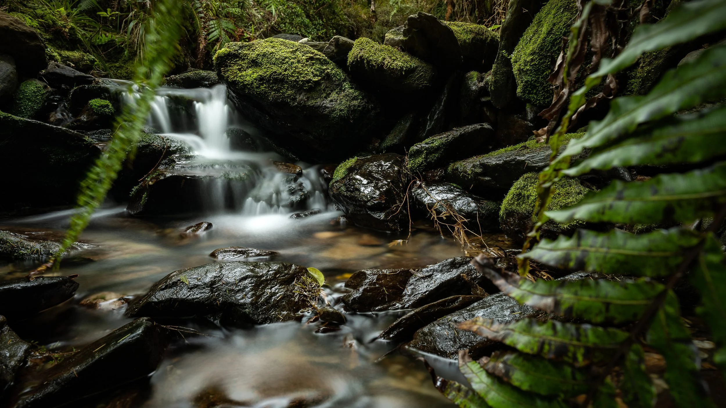 A small waterfall flowing over moss-covered rocks in a lush green jungle.