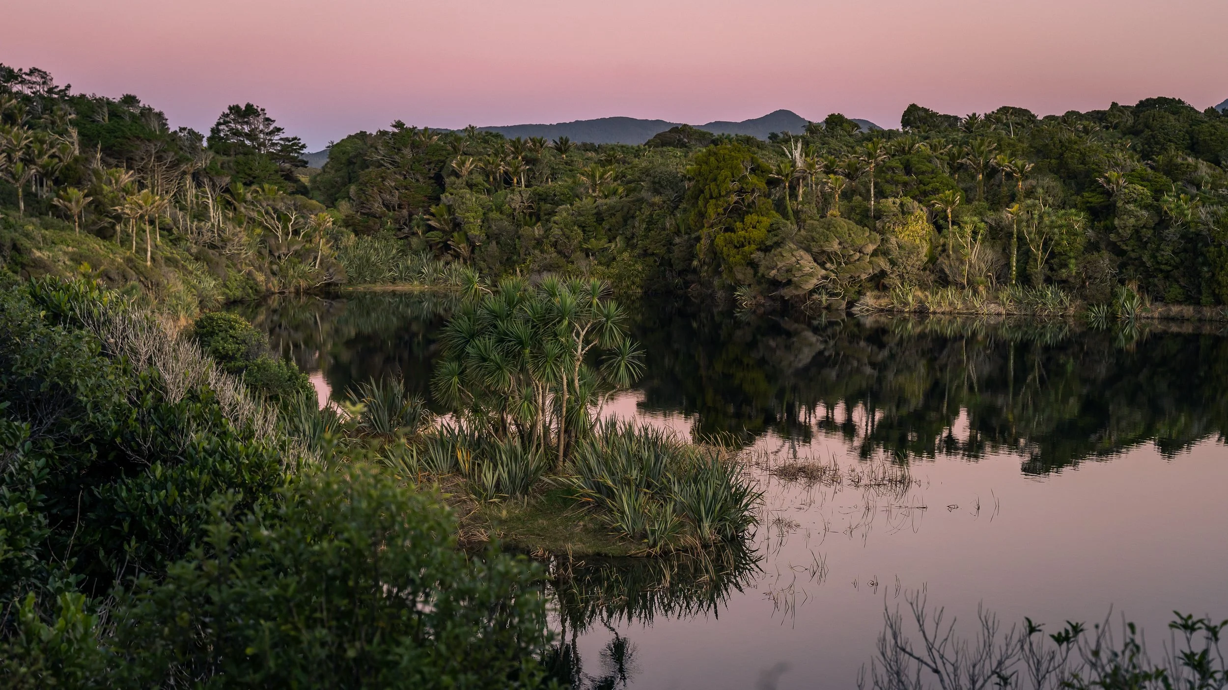 Serene landscape of a small lake surrounded by lush green trees and plants, with pink and purple hues in the sky at dusk.