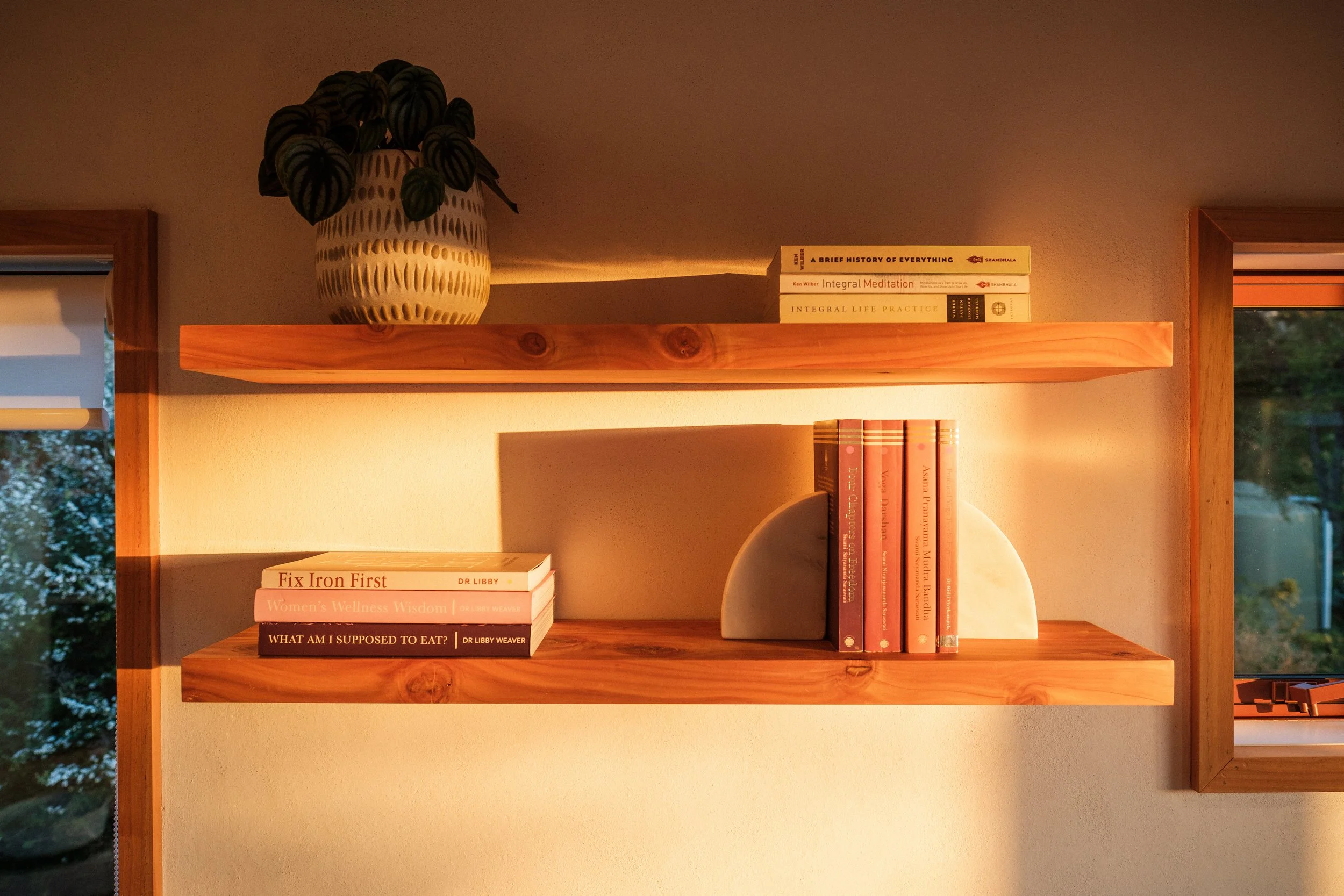 Two wooden shelves on a wall with books and a potted plant. Morning sunlight is coming through the windows.