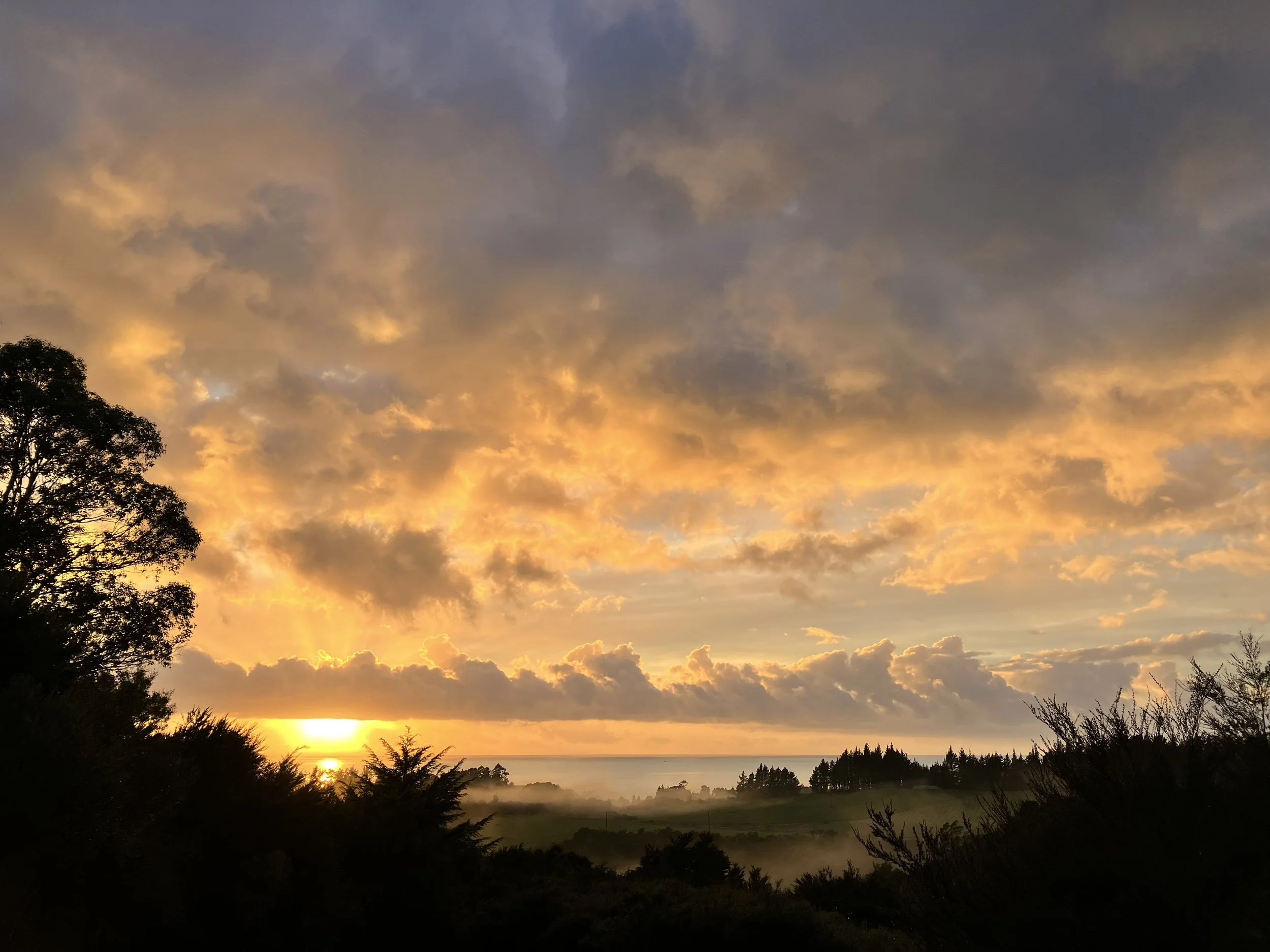 Sunset over a landscape with trees, clouds in the sky, and a faint view of the ocean in the distance.