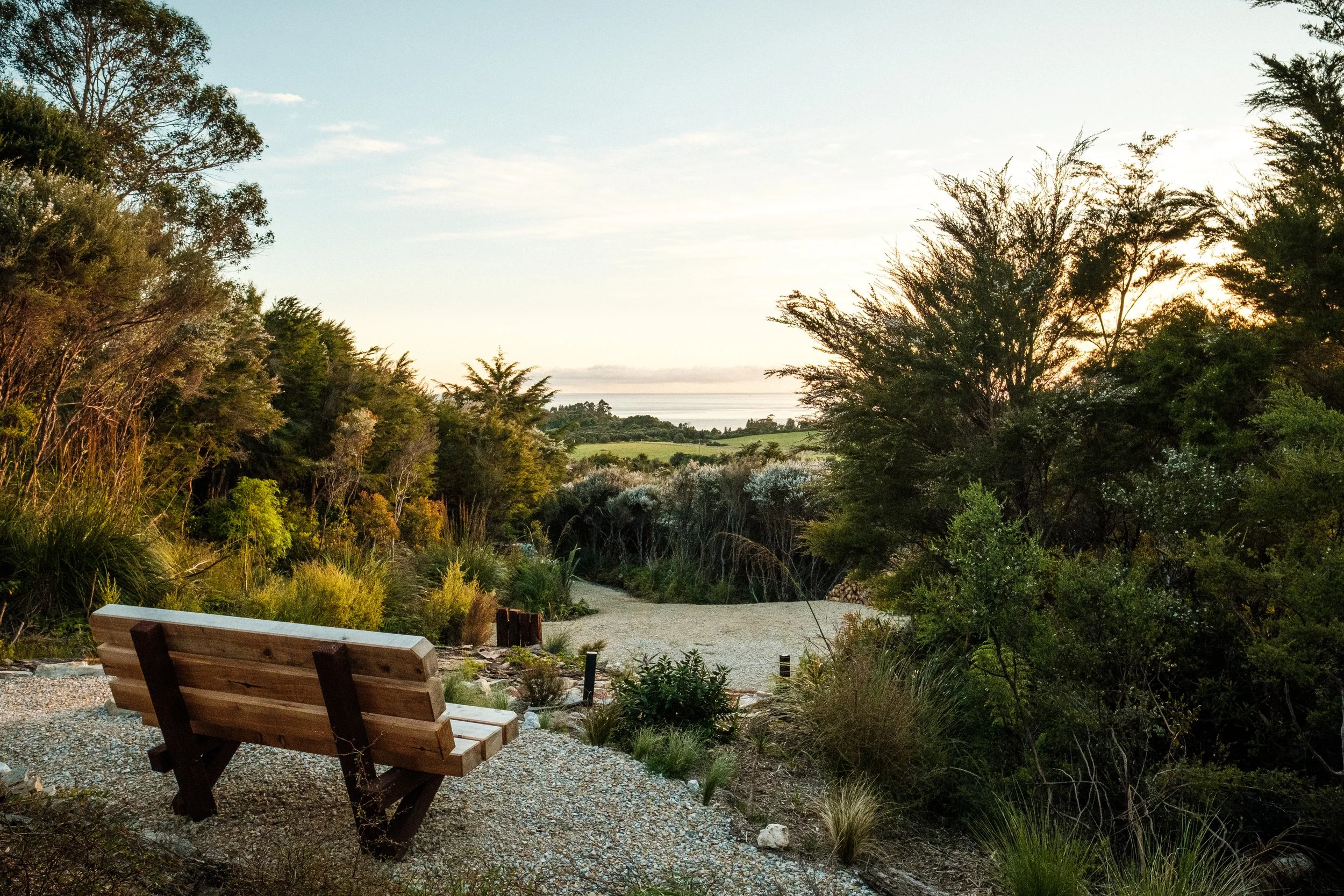 A wooden bench overlooking a lush landscape with trees, shrubs, and a distant view of the water and sky during sunset.
