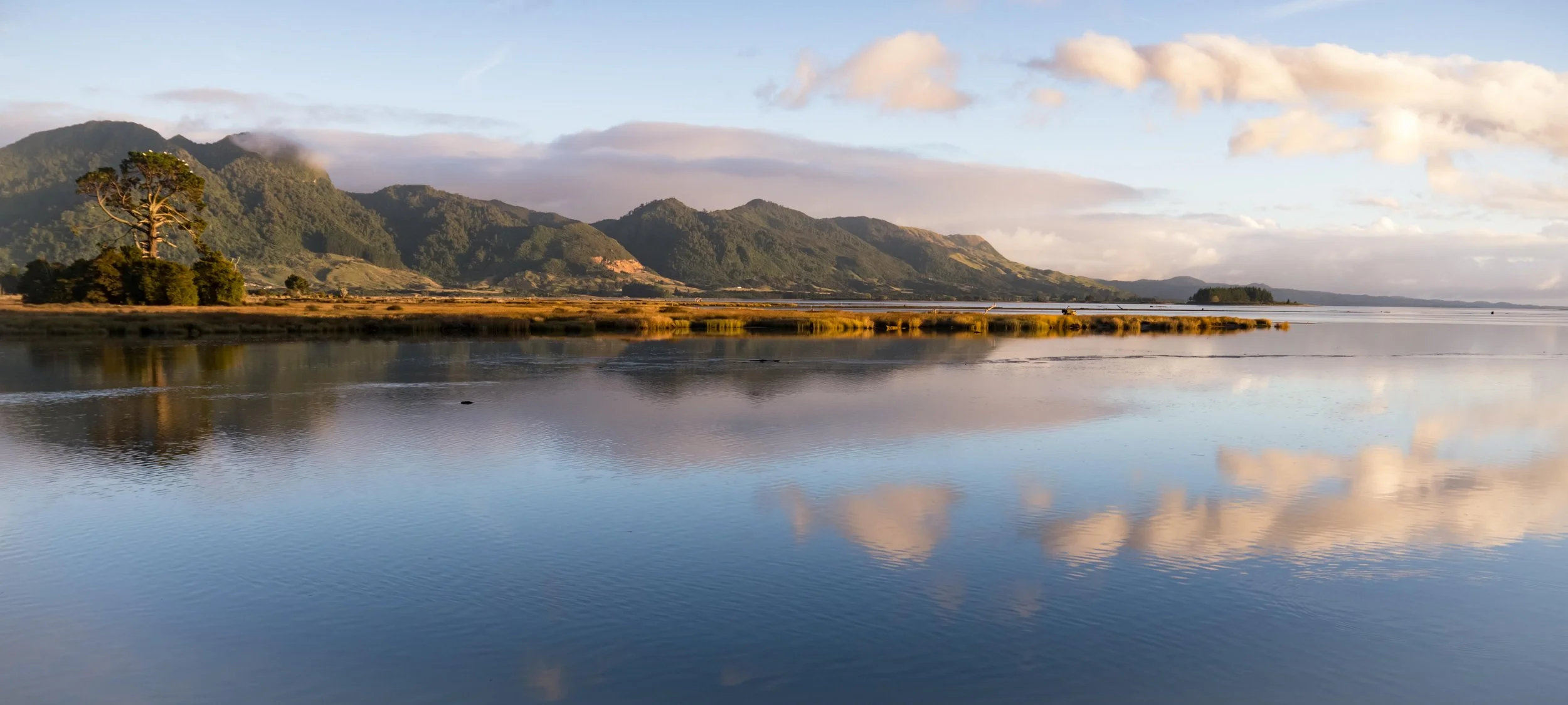 Scenic view of a calm body of water reflecting the sky and mountains in the background, with scattered clouds and a large tree on the left side.