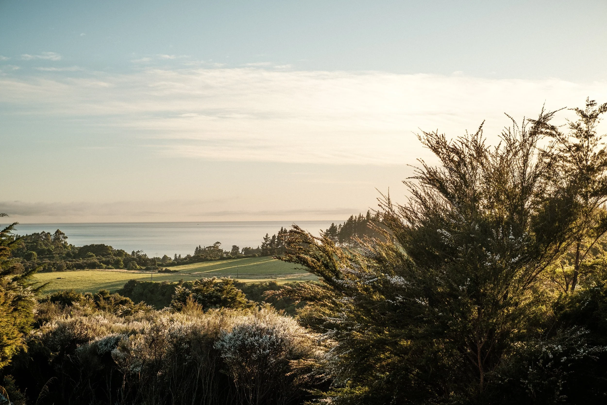 A scenic landscape featuring lush green trees and shrubs in the foreground, rolling green hills in the middle ground, and the ocean with a cloudy sky in the background during a clear day.