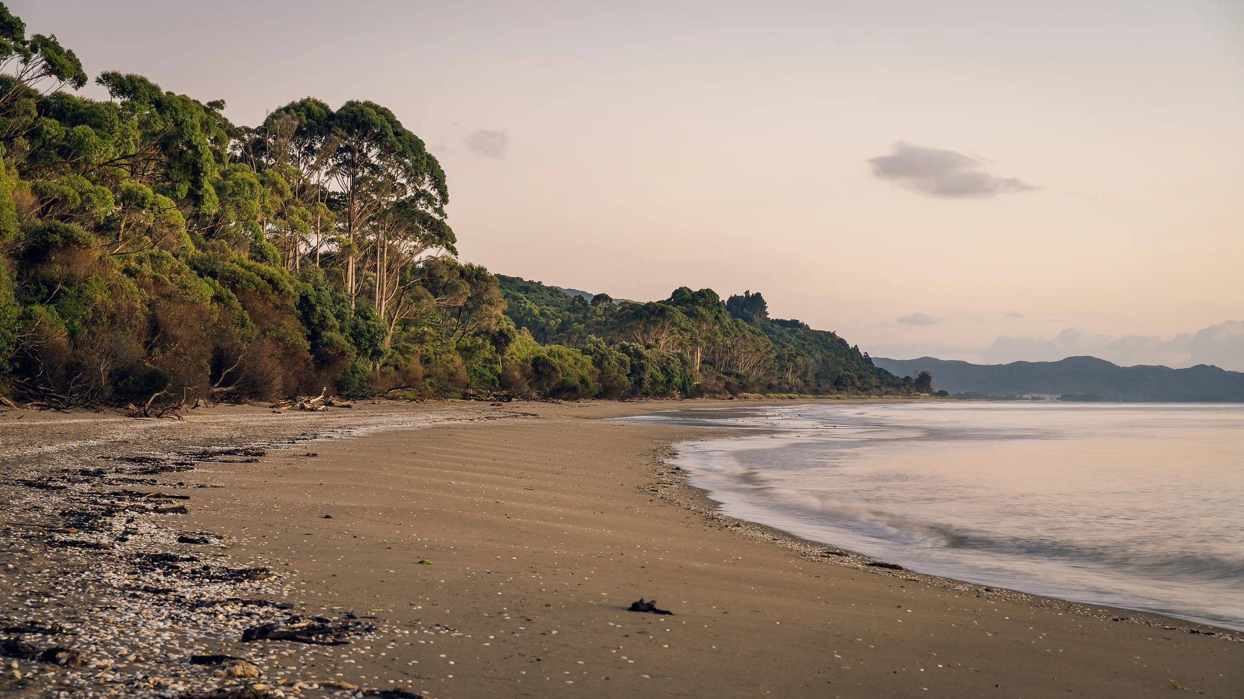 Calm beach with gentle waves, sandy shoreline scattered with small shells and debris, lush green trees along the coastline, distant hills under a light pastel sky.