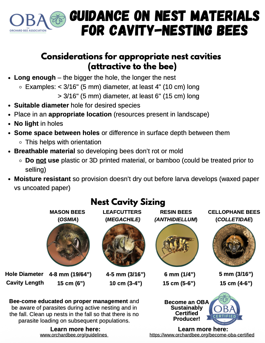 Bee Hotel Guidance
