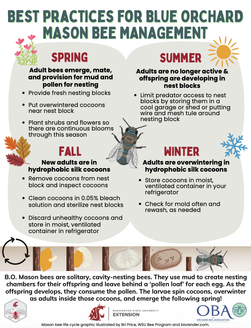 Blue Orchard Bee Management and Common Pests