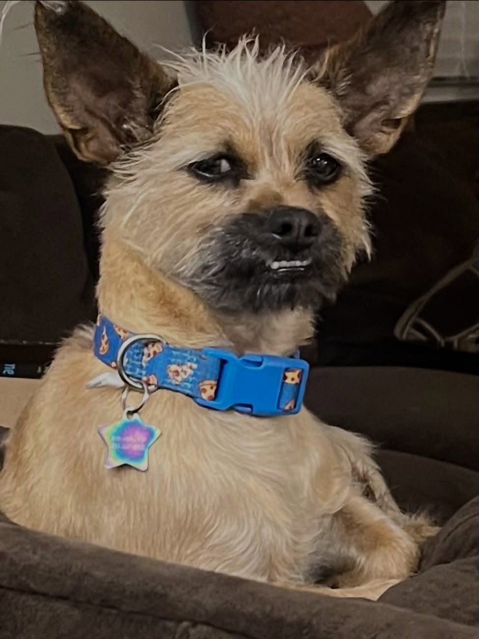 If you happen to see me for individual counseling, you know I often end a session by asking &ldquo;is there anything we didn&rsquo;t get to today that you want to make sure we come back to next time?&rdquo;

My ever-present shadow when I&rsquo;m on v