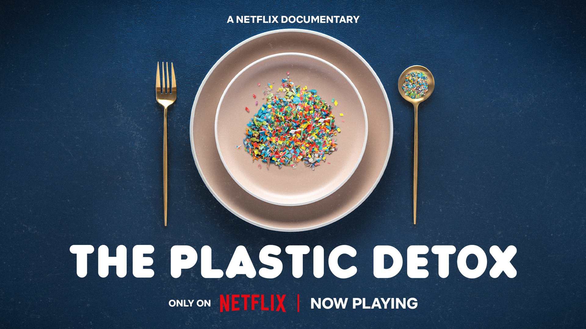 THE PLASTIC DETOX - Feature Documentary // Field Producer
