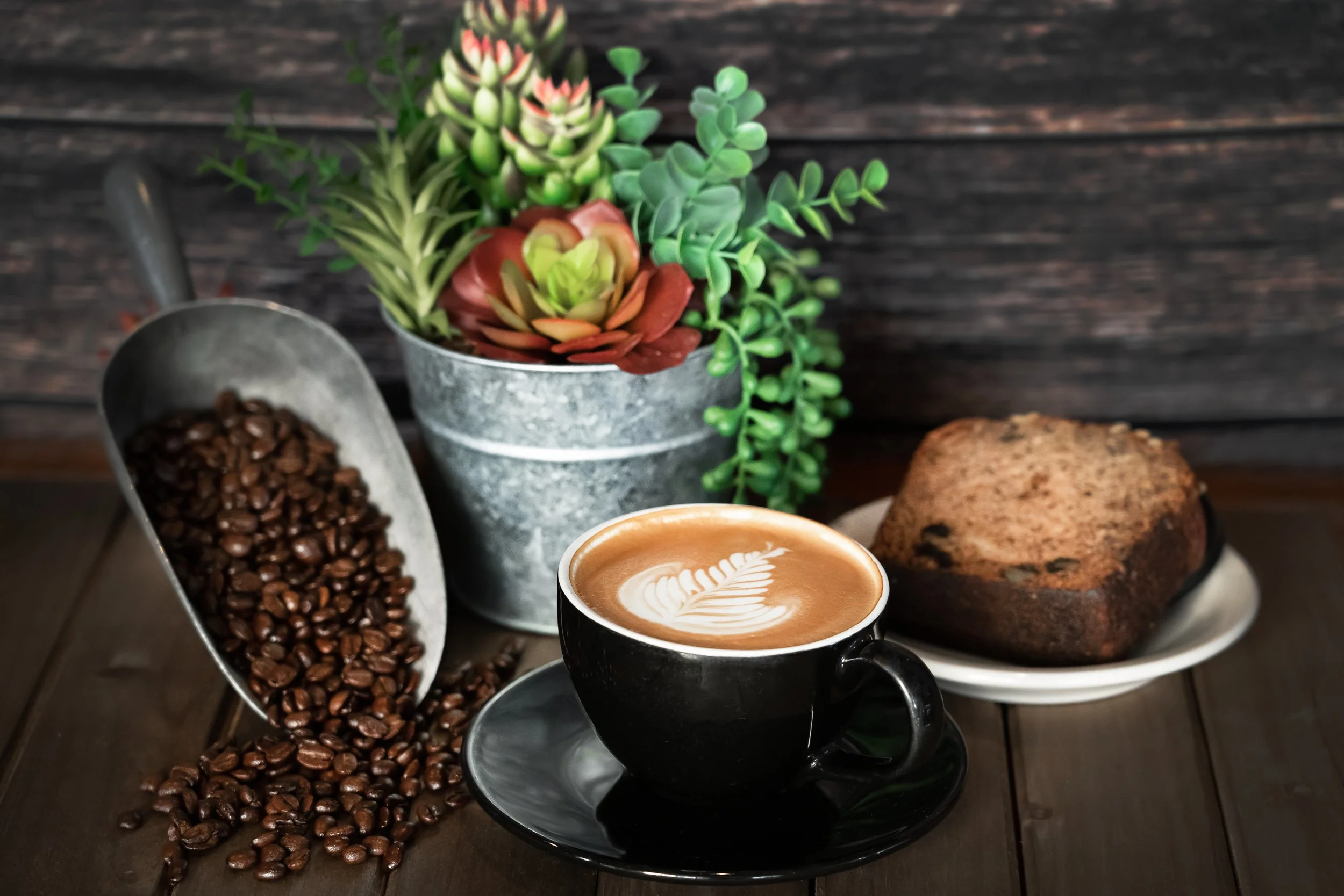Dog Day Coffee