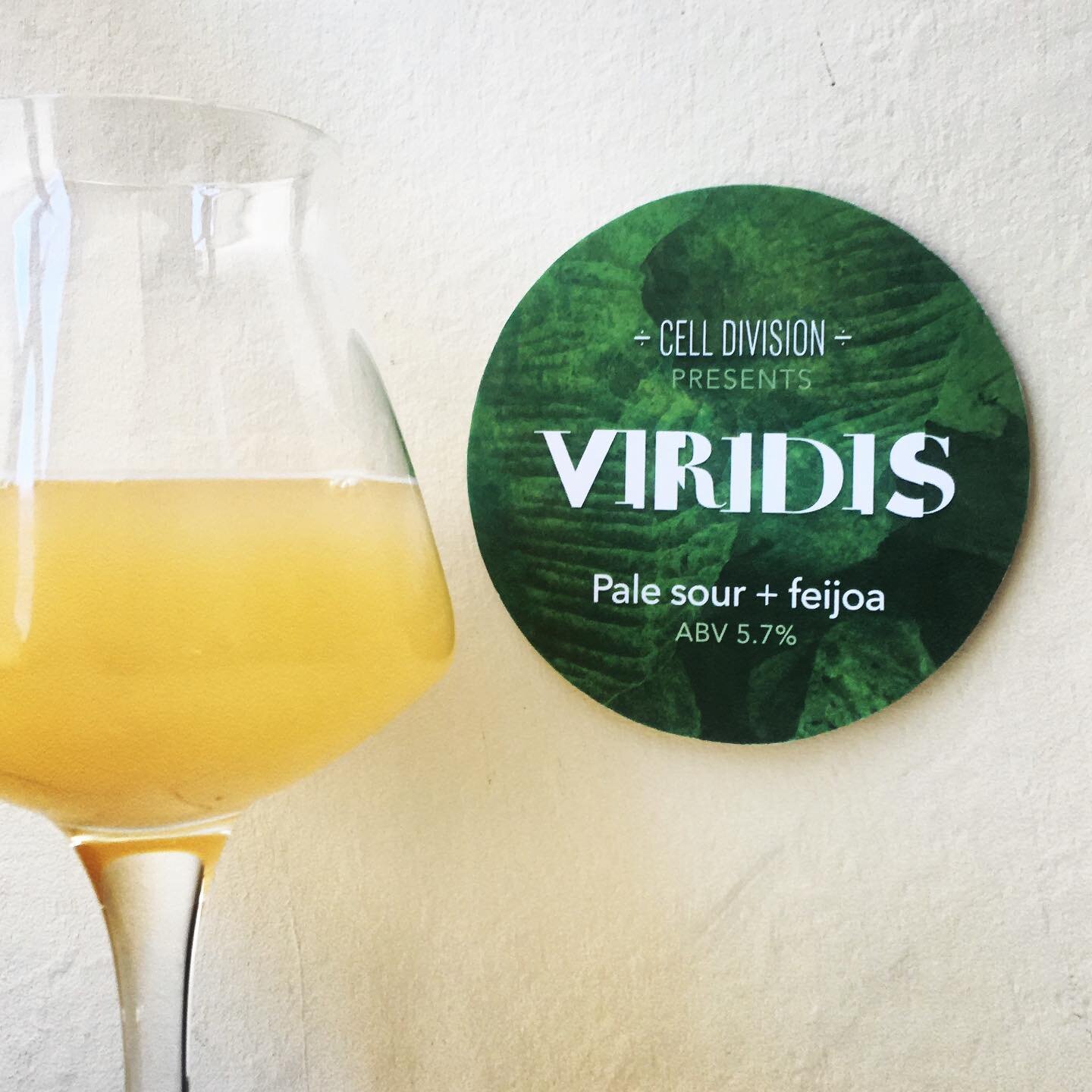 On the naughty tap today @celldivisionbrewery Viridis Sour Ale with Feijoa.