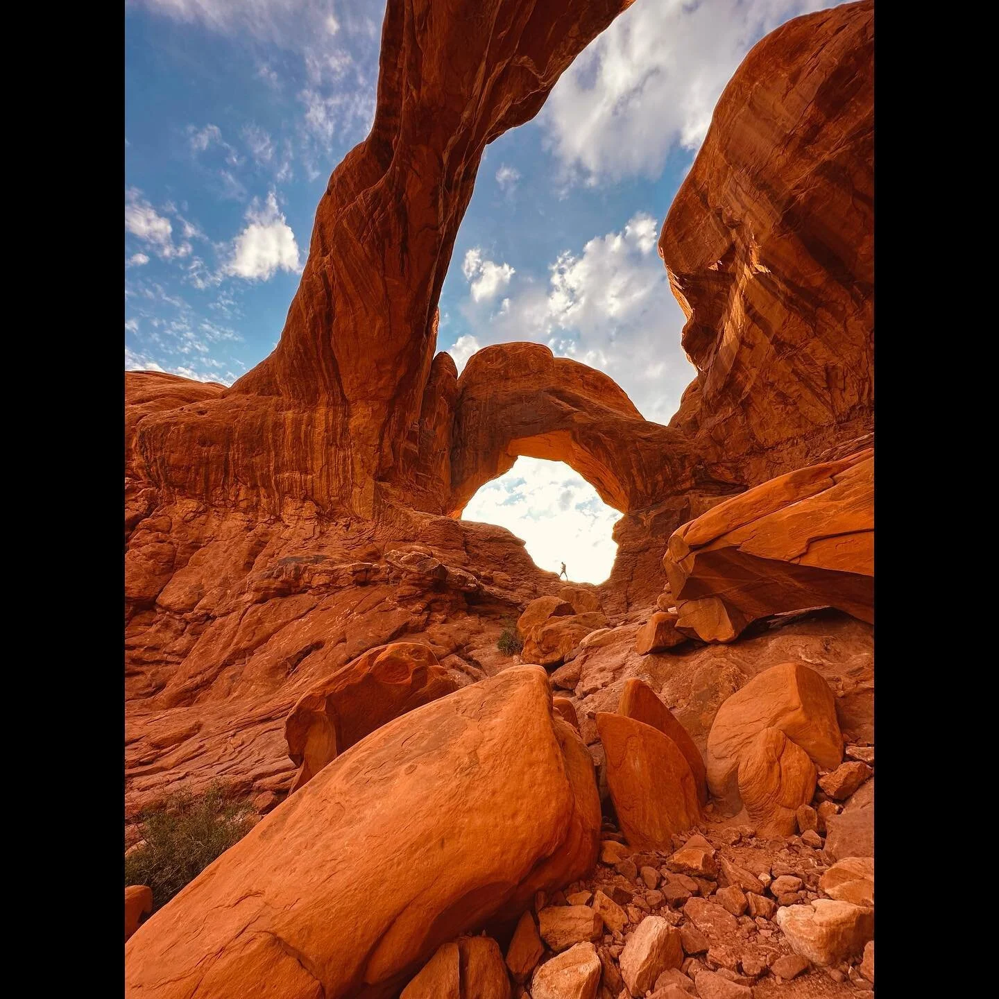 Exploring these places alone, despite never having visited them before, brought me an unexpectedly profound sense of fulfillment.  Arches, Canyonlands, Zion, grand Escalante, and Mesa Verde- each location left me awe-struck.  Words fail to capture th