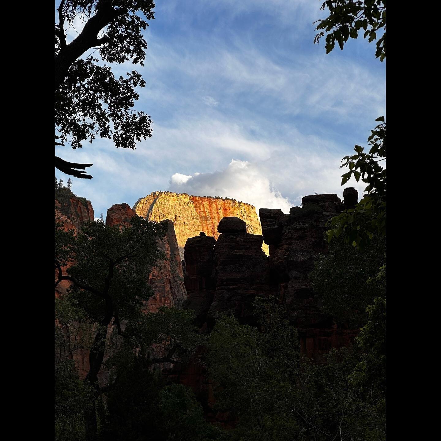 All of our design cues come from nature . . . Color, shape, texture, material, space 
&bull;
&bull;
&bull;
#nationalparks #zion #designerinspiration #naturefirst #inspire #live #love #spacialdesign #designer #interiordesign #landscapedesign #decor #a