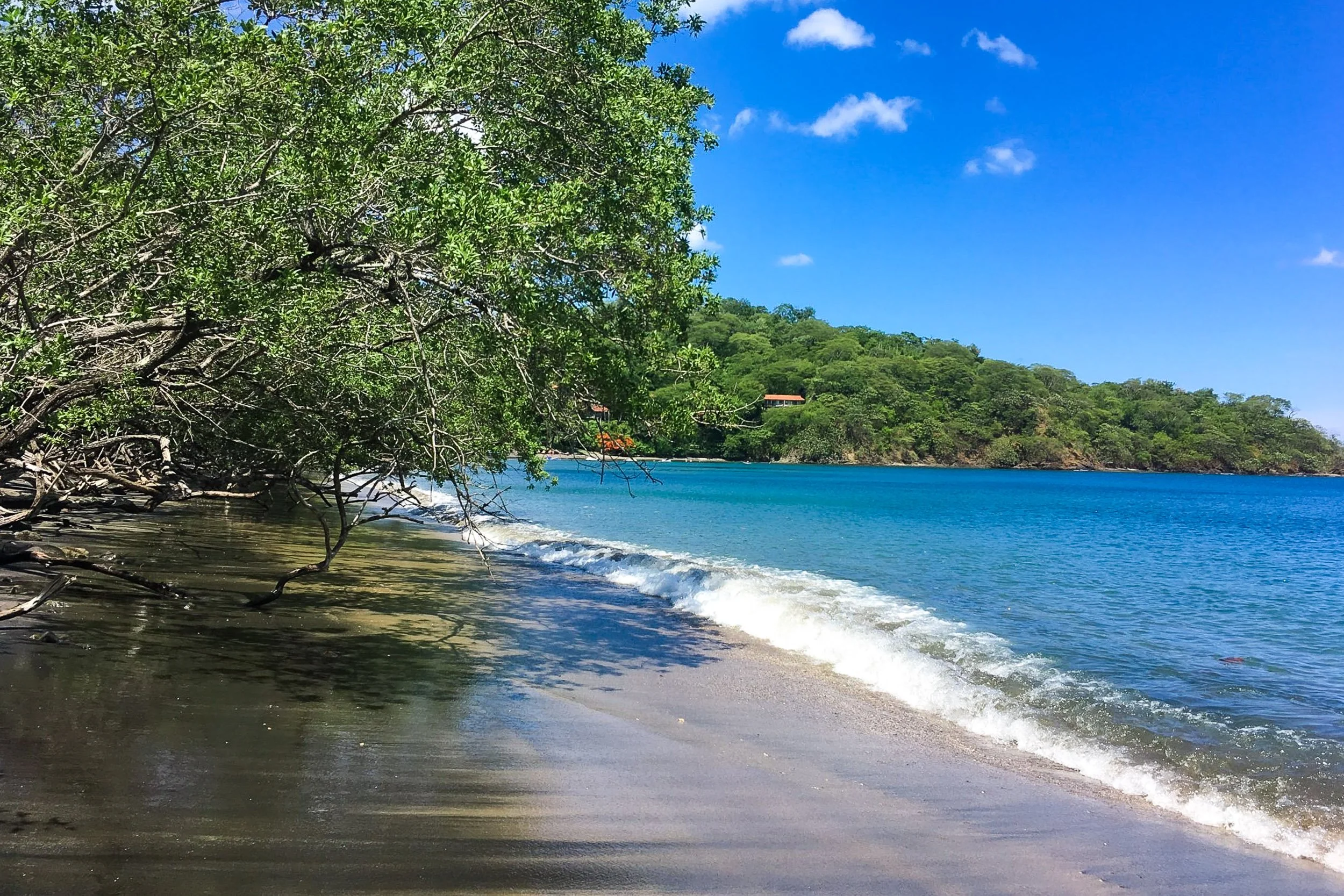 Coastal Shade - Overhanging green trees casting dark shadows along a volcanic sand beach as gentle ocean waves lap the shore under a blue sky.