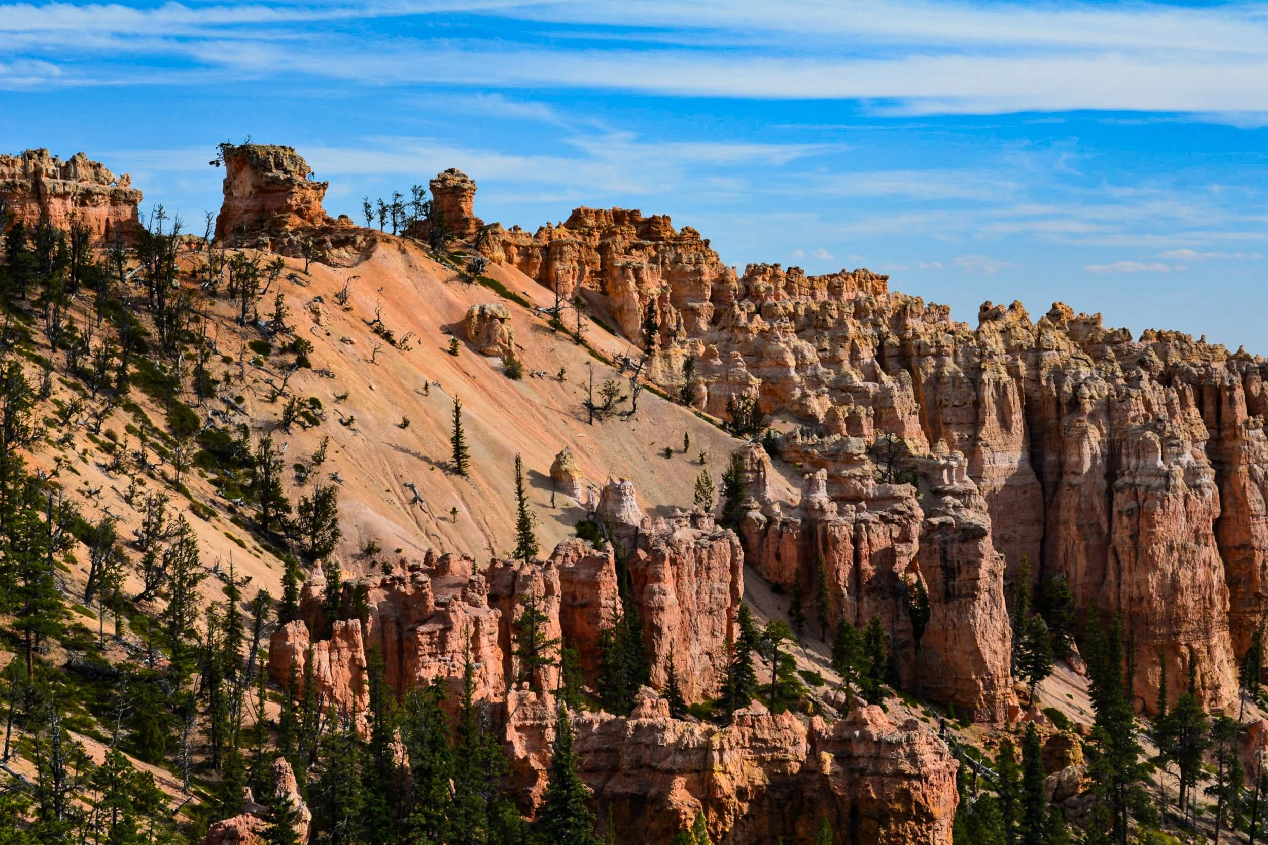 Eroded Ridges - A sun-drenched canyon hillside showcasing layers of orange hoodoos, pink sandstone, and scattered green pine trees under a clear sky.