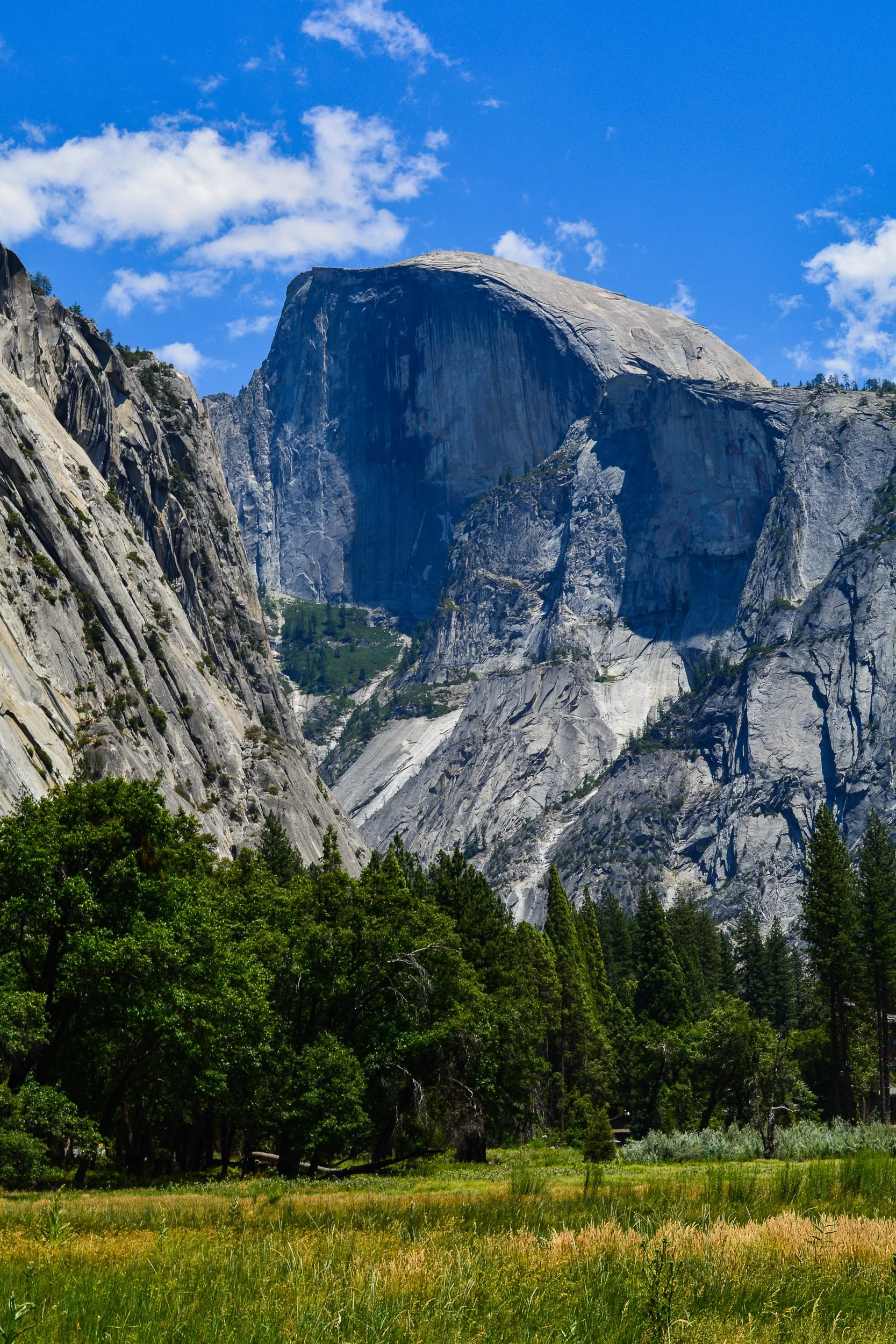 Monolith Rising - A striking vertical landscape capturing the towering granite face of Half Dome under a bright blue sky with scattered clouds, rising high above the lush green forests and meadows of Yosemite Valley.