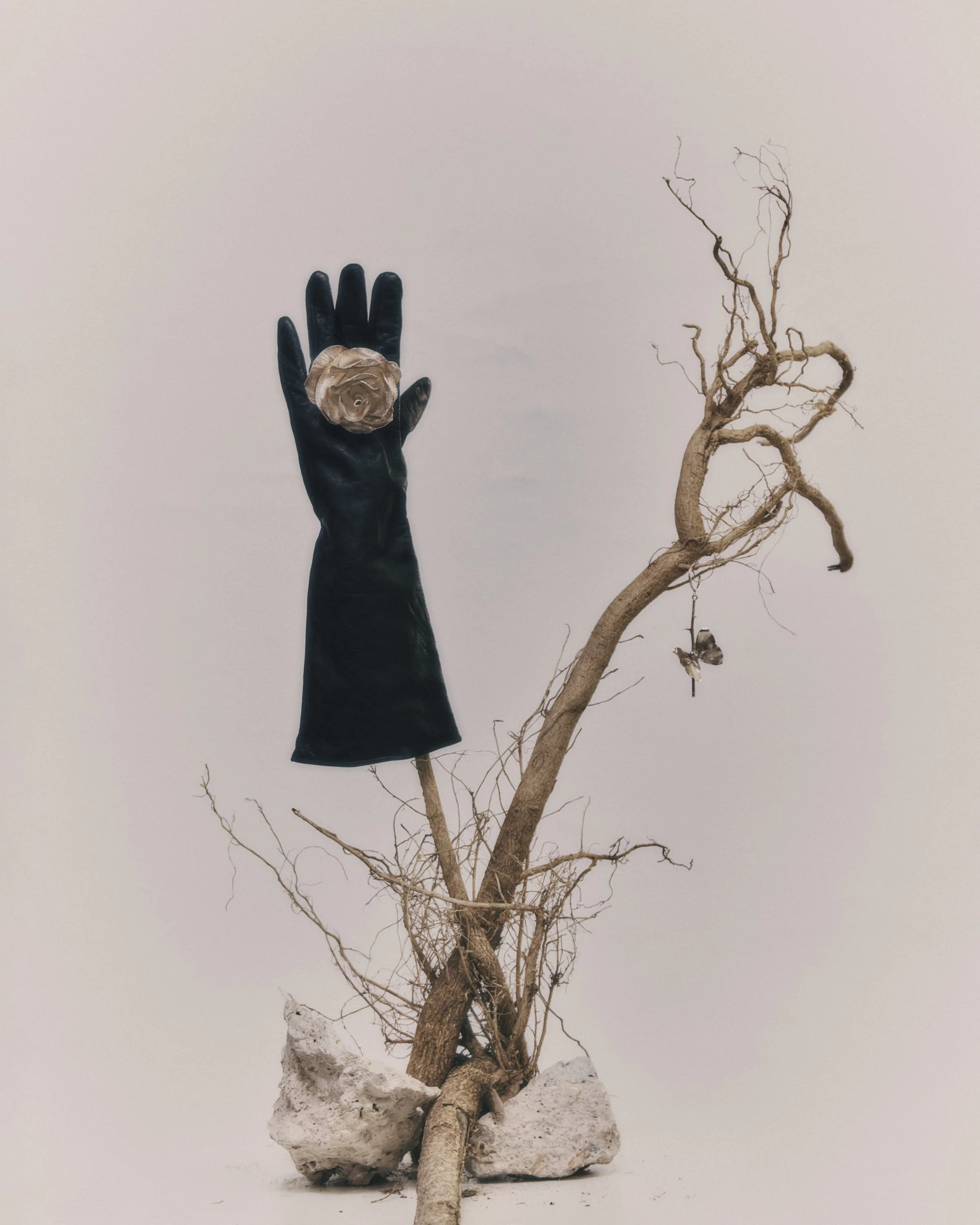 bodegones_noir_magazine (1)