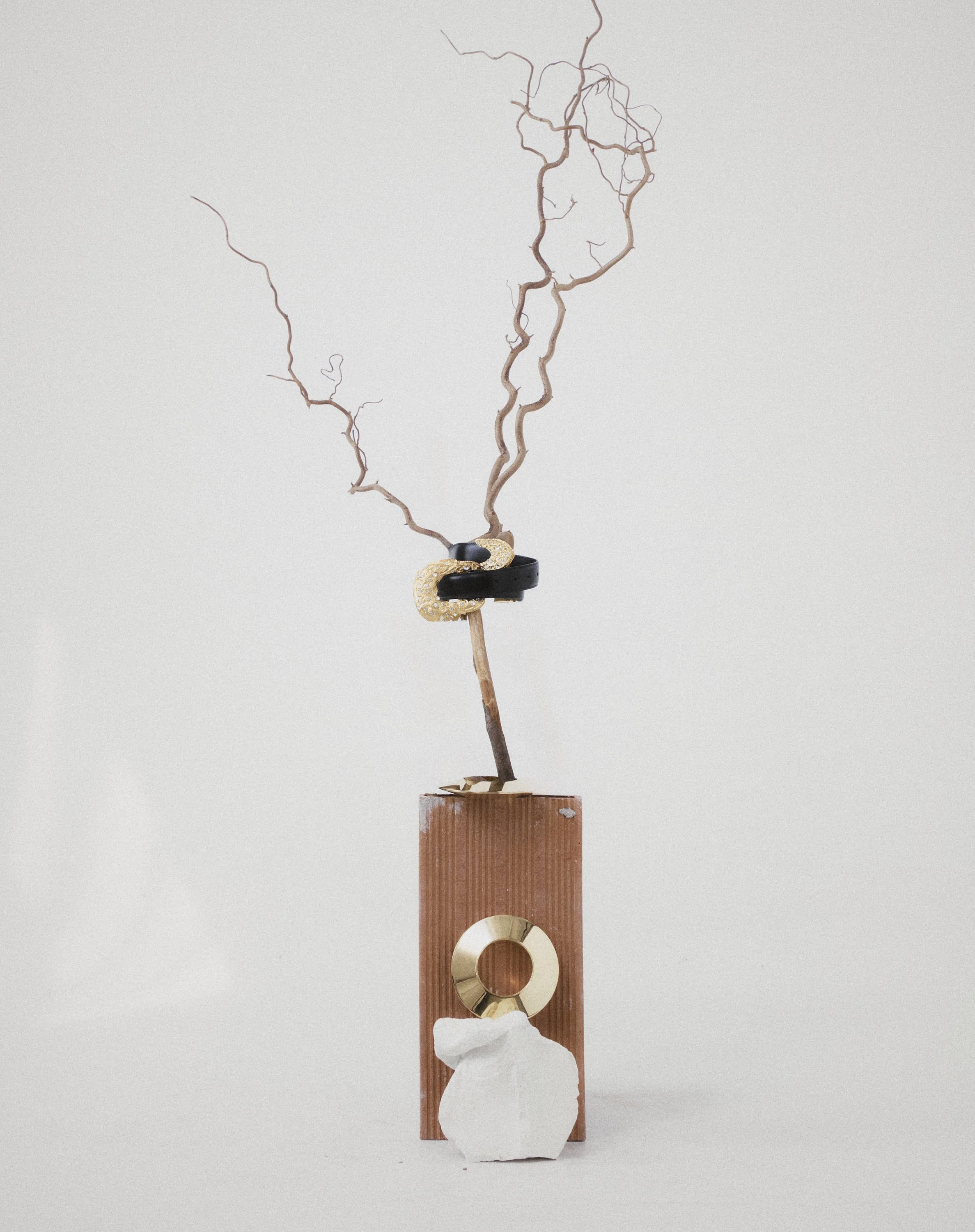bodegones_noir_magazine (13)