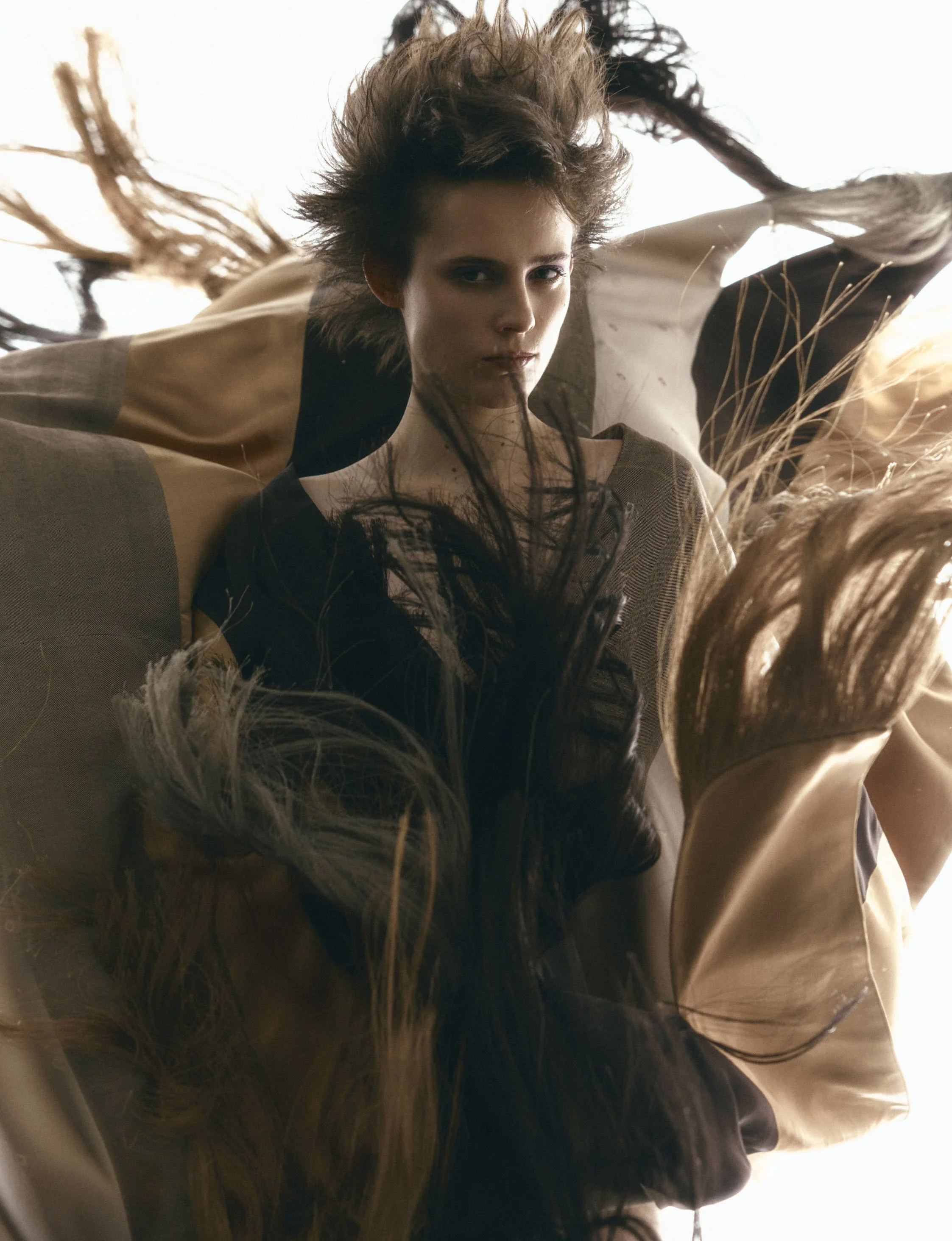 Wonderland (17)