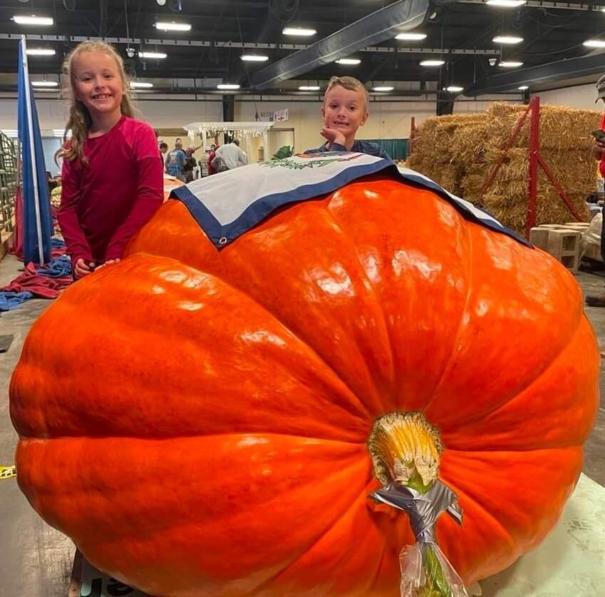 Giant Pumpkin Seed