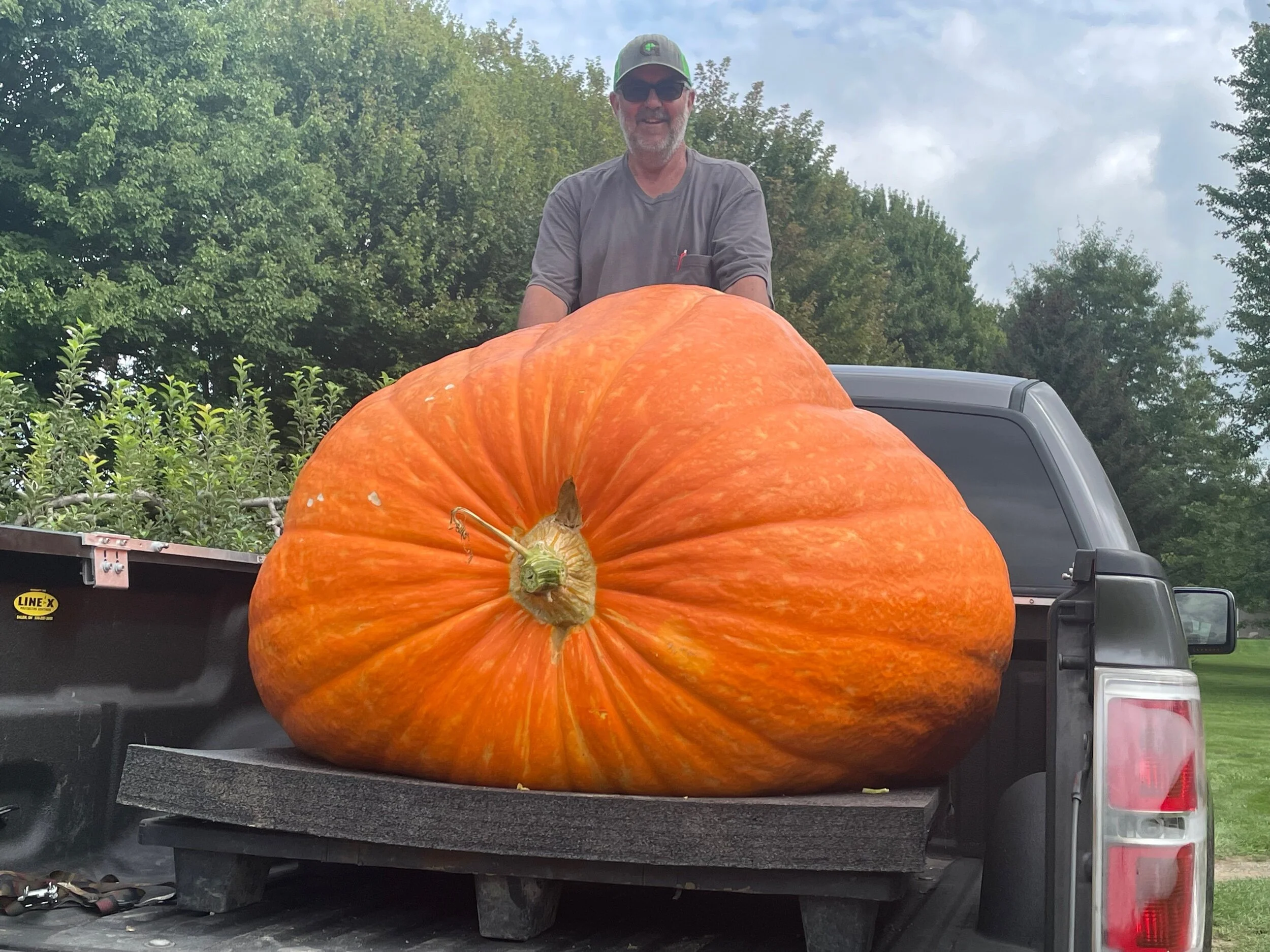 Giant Pumpkin Seeds — Kisamore Giant Pumpkins