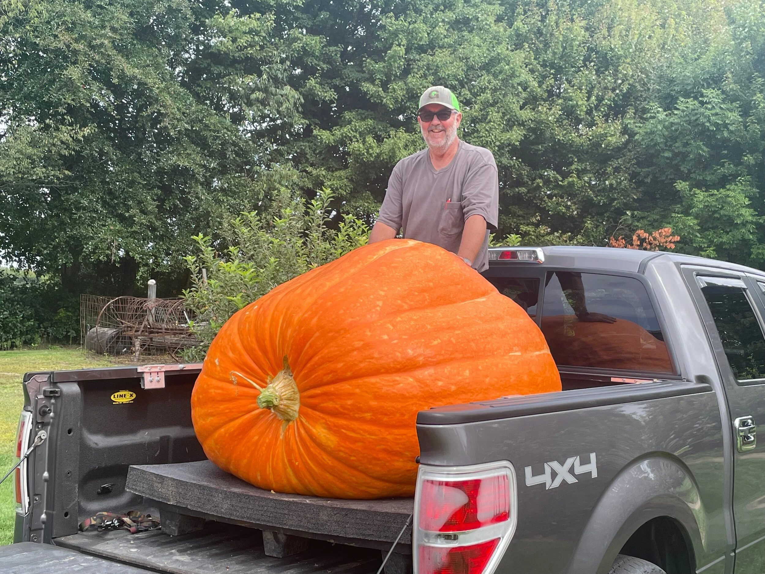 Giant Pumpkin Seeds — Kisamore Giant Pumpkins