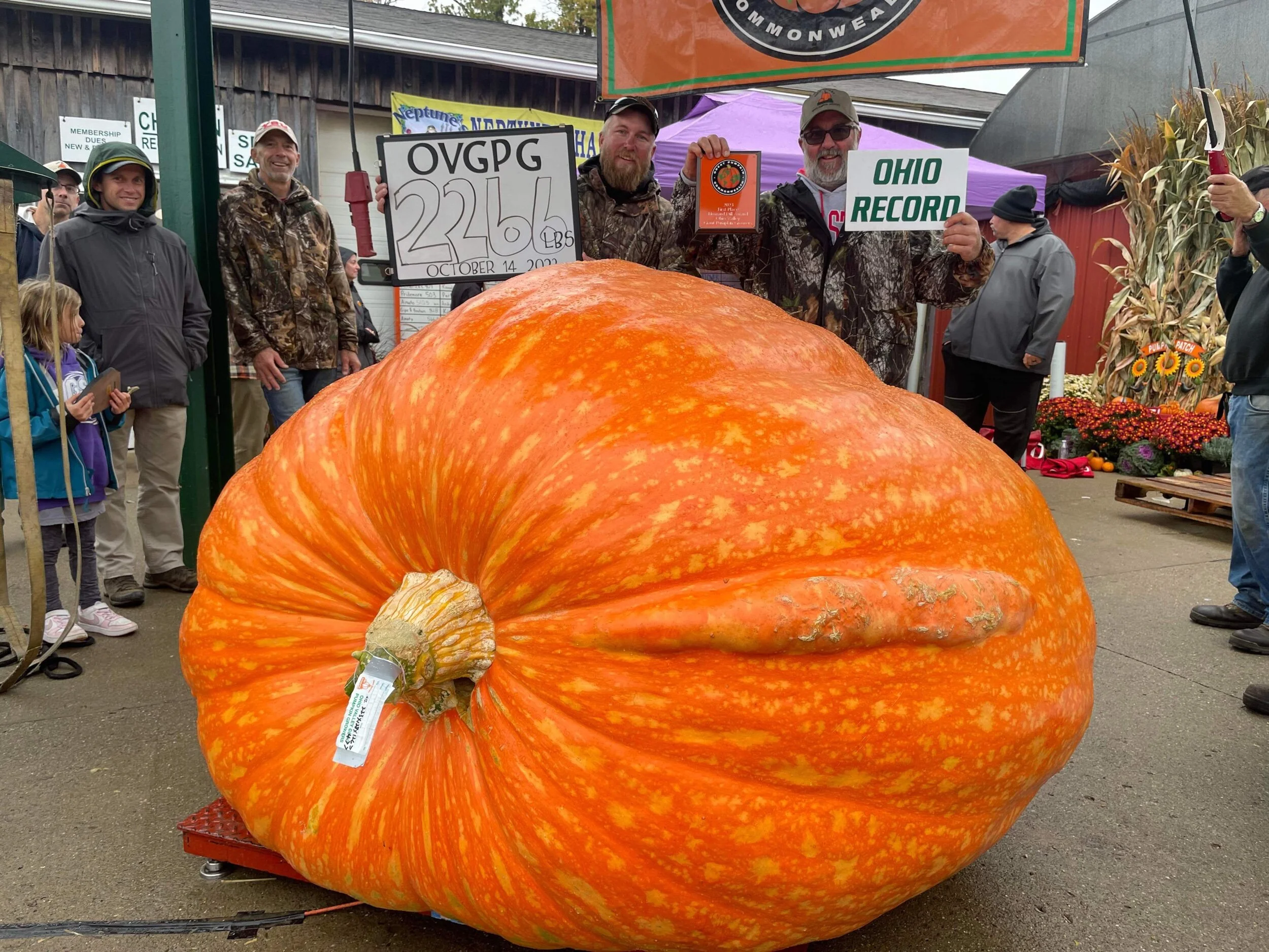 Giant Pumpkin Seeds — Kisamore Giant Pumpkins