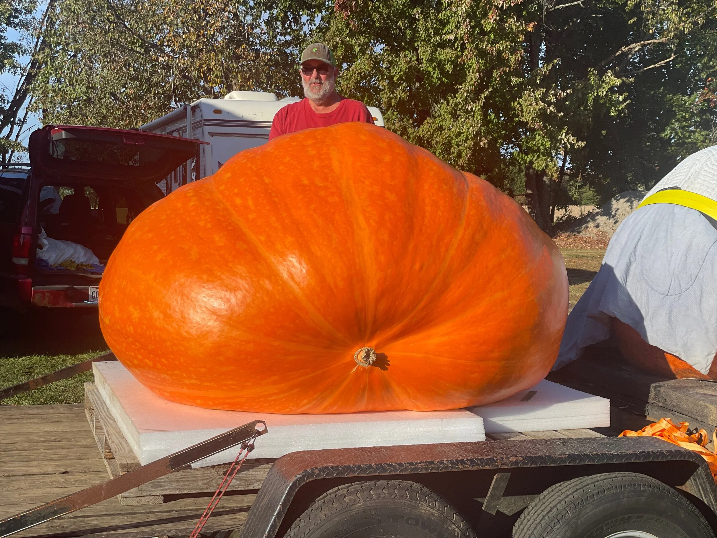 Giant Pumpkin Seeds — Kisamore Giant Pumpkins