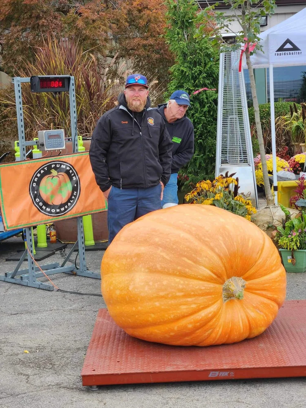 Giant Pumpkin Seeds — Kisamore Giant Pumpkins