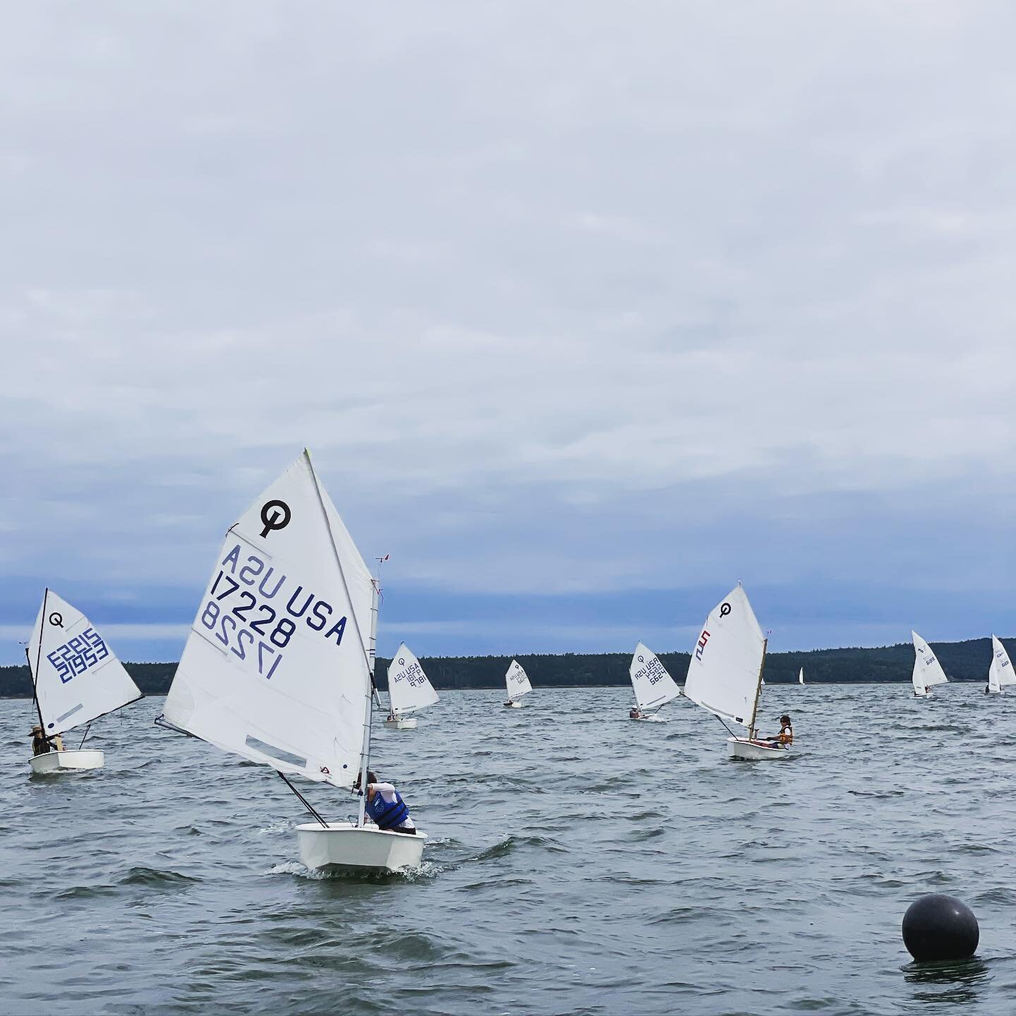 The Optis are Coming! Session 1 starts June 19. Join us! ⛵️🔥 Link to registration in bio. #kidswhosail #optisailing #ksea #summer2023