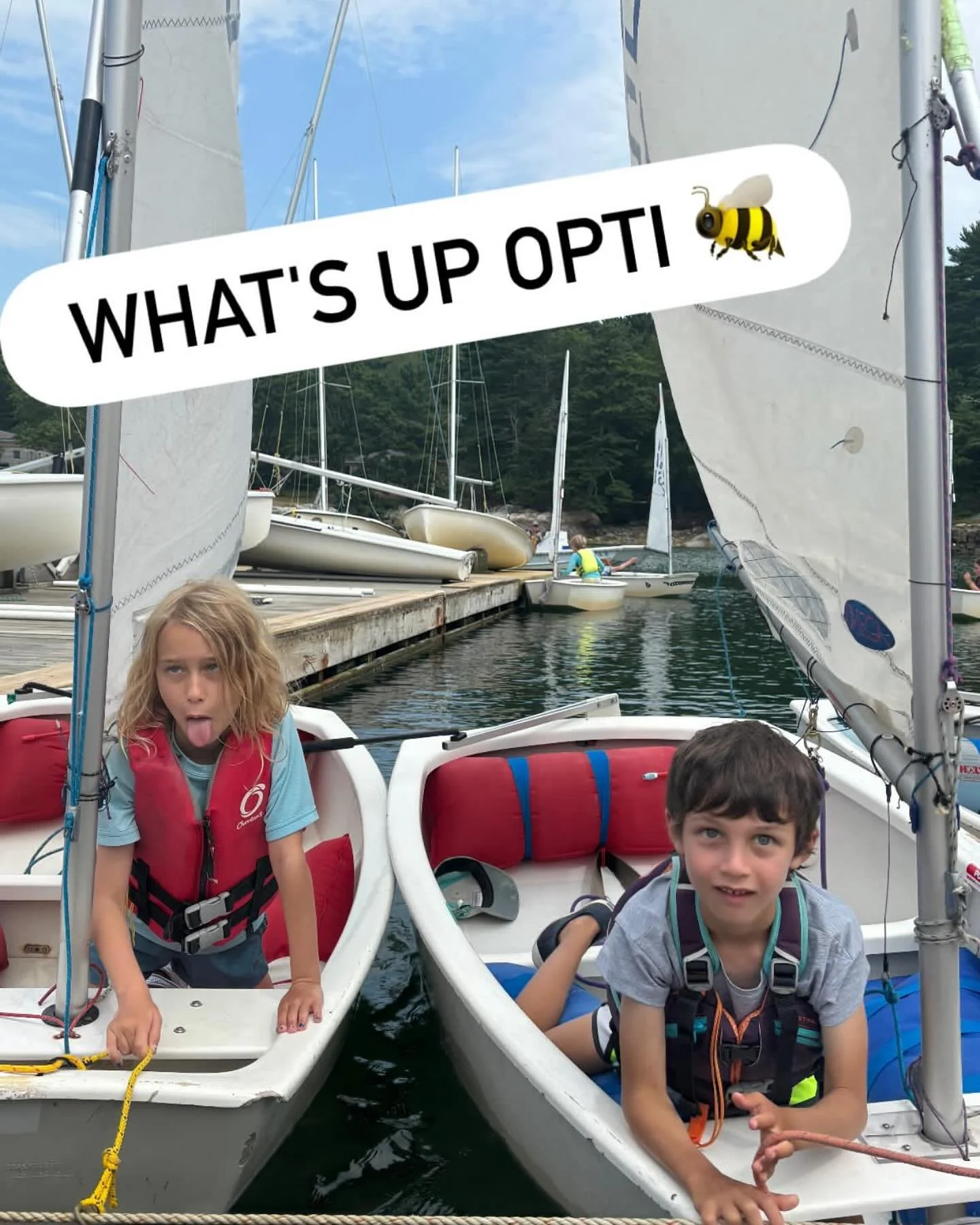 Opti 🐝!