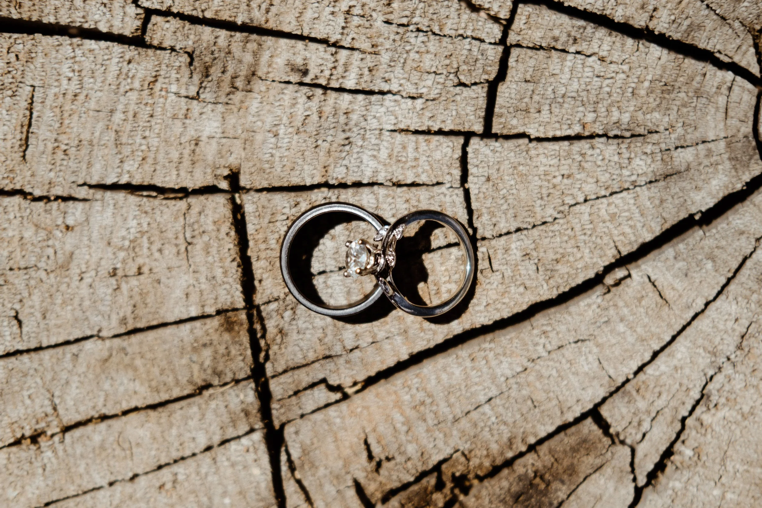 DSCF9350.jpg