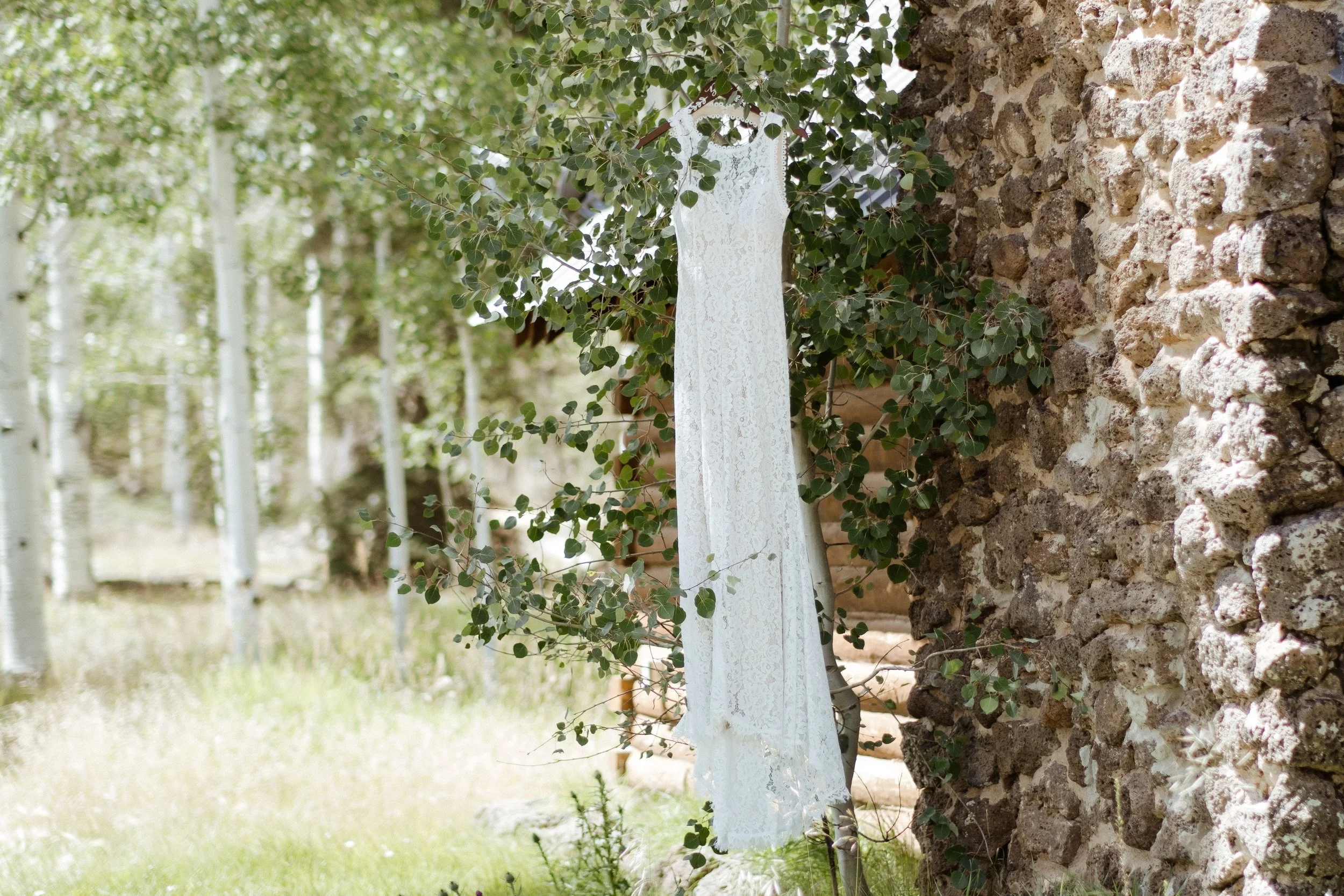DSCF9323.jpg