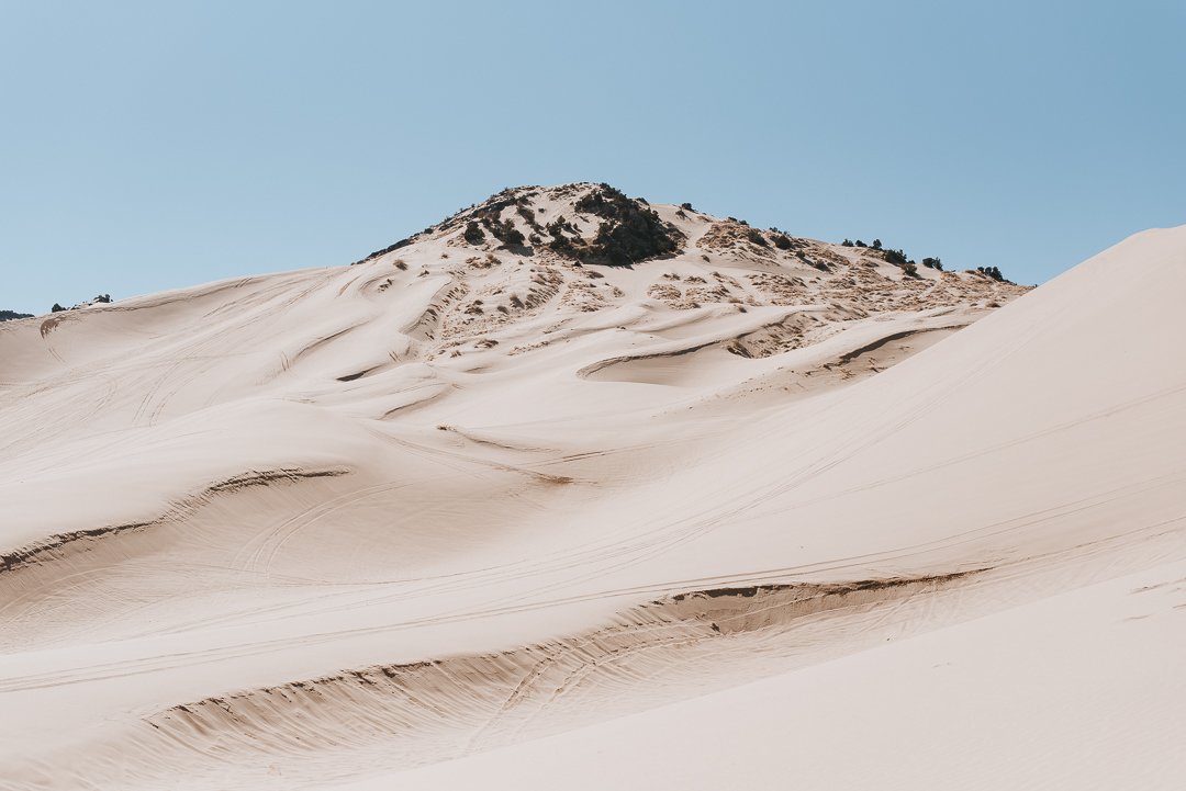 DSC_0050.jpg