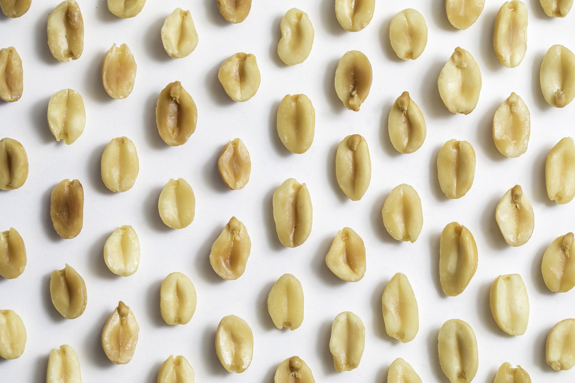 06 - peanut pattern.jpg